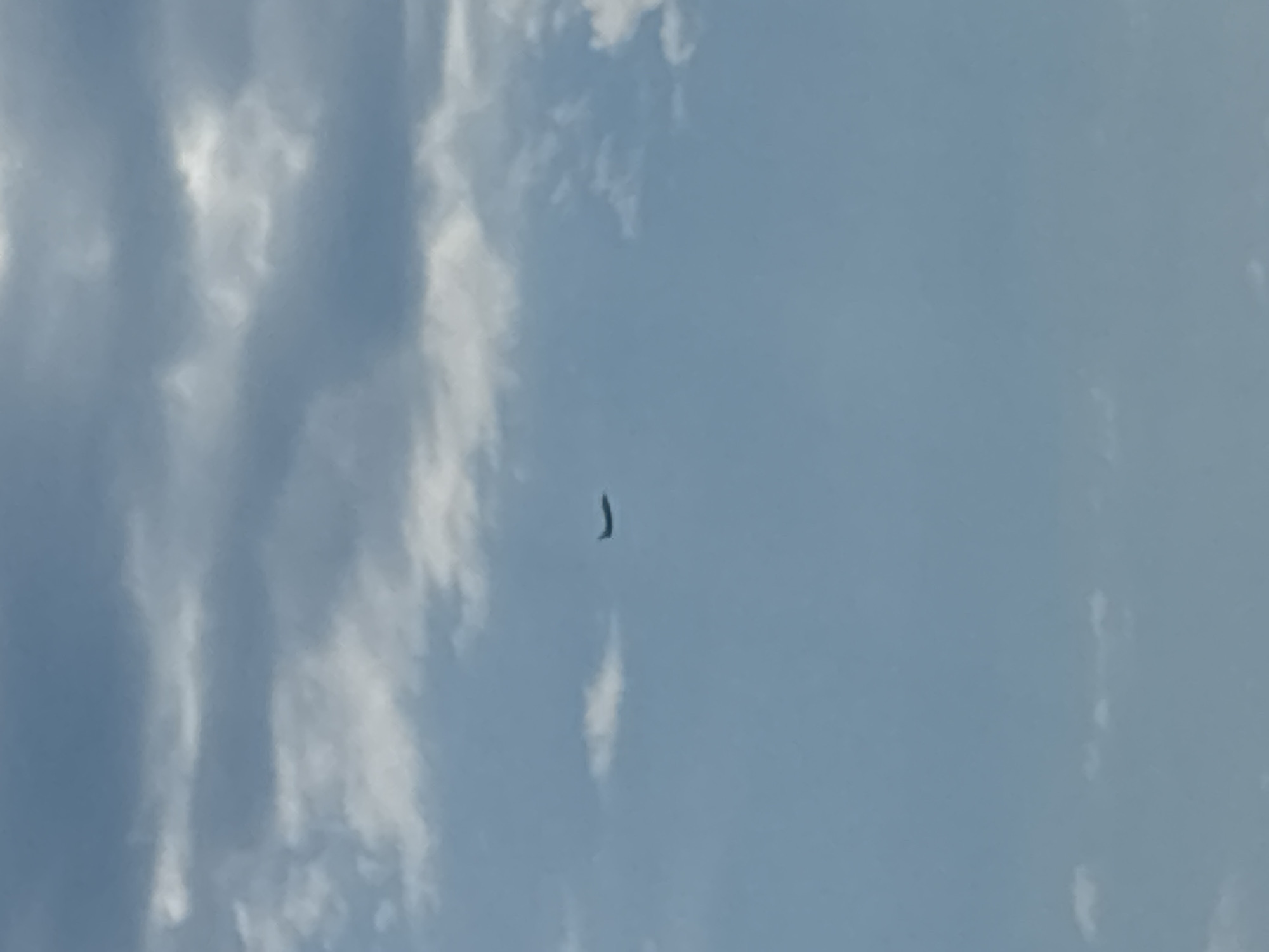 The image shows a wide shot of a bright blue sky with scattered white clouds. A dark, curved object, resembling a crescent moon or a stylized comma, is visible in the upper right quadrant of the image, suspended against the sky. The object appears to be a silhouette, its details obscured by its distance and the brightness of the sky. The clouds are wispy and ethereal, suggesting a pleasant day. The overall scene evokes a sense of vastness and openness, with the small, solitary object adding a touch of mystery. The time of day is likely daytime, given the bright sky and clear visibility. There is no text visible in the image. The location is identified as Sochi, Russia.