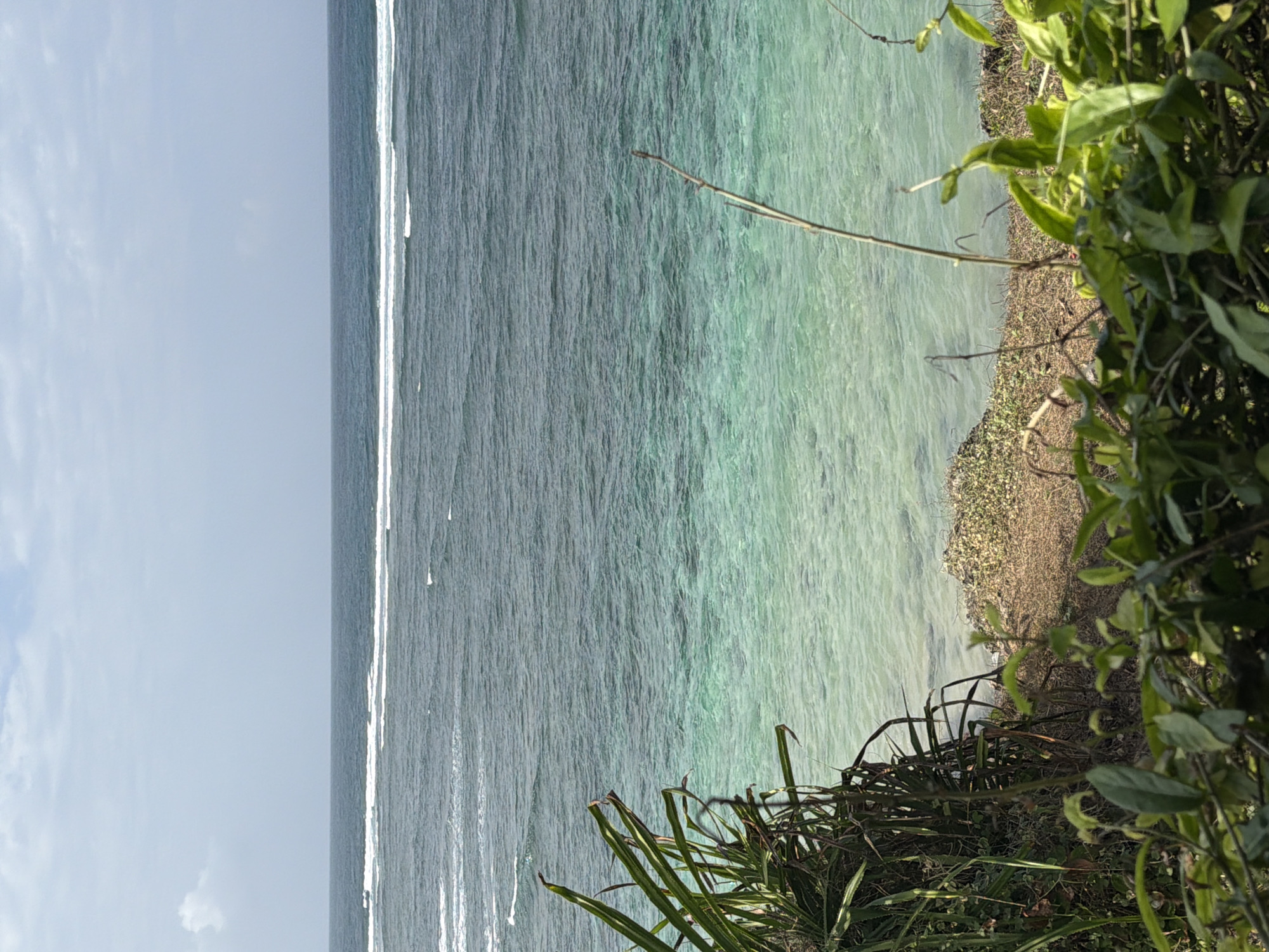The image depicts a coastal scene from a slightly elevated vantage point overlooking the ocean in Kuta Selatan, Indonesia. The foreground is dominated by lush green foliage, obscuring the immediate cliff edge. Beyond the vegetation, a strip of dry, sandy ground with scattered small plants marks the transition to the ocean. The water displays a striking gradient, transitioning from a clear, shallow turquoise near the shore to a deeper, darker blue further out. Gentle waves create white lines of foam on the water's surface, indicating a shallow reef or sandbar offshore. The horizon is a straight line where the ocean meets a pale blue sky, which is partially covered by scattered, wispy clouds. There are no people or any discernible man-made structures visible in the frame. The overall impression is of a natural, serene beach environment.