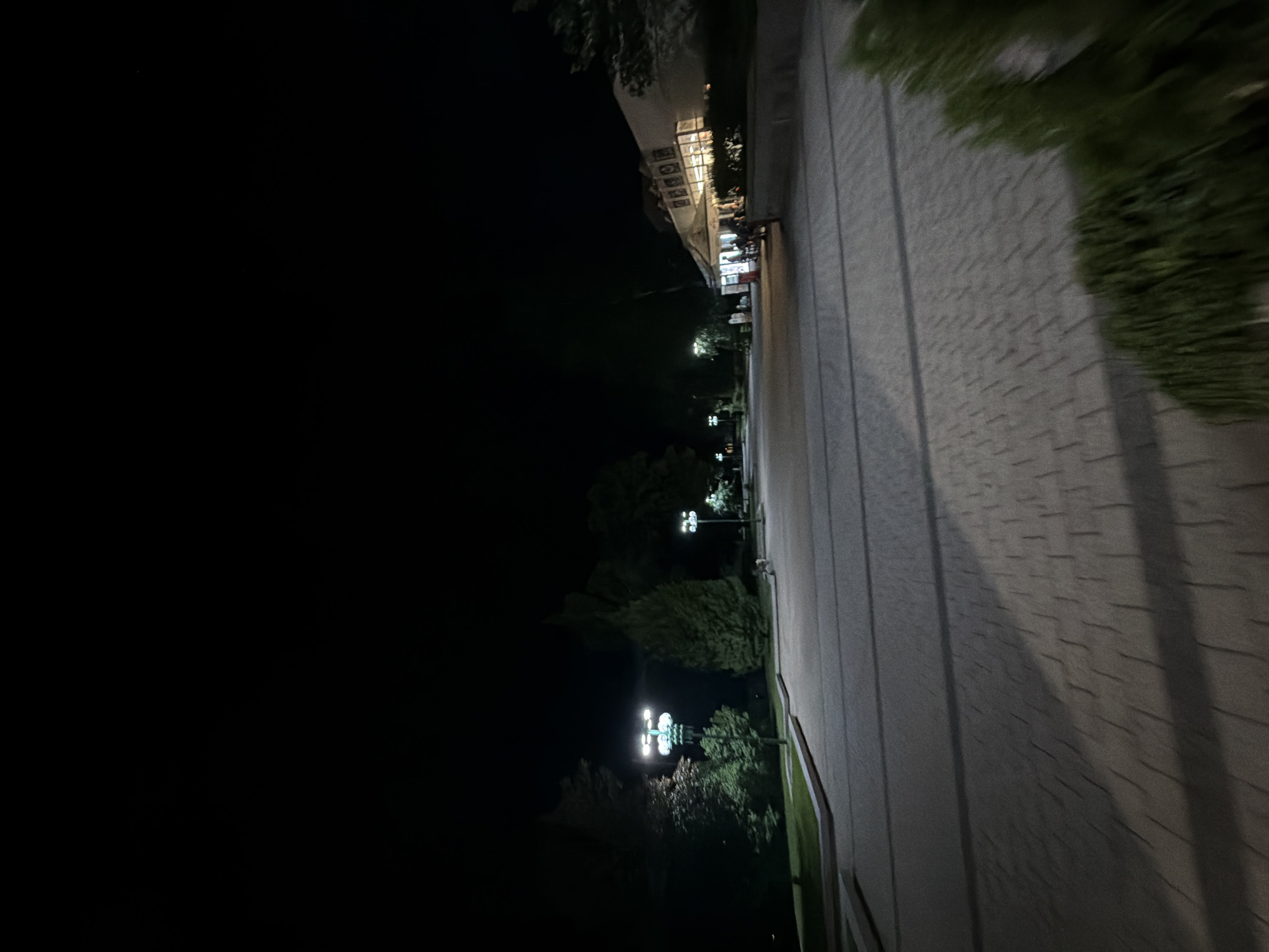The image depicts an outdoor scene at night, likely a public area such as a park or walkway, in the city of Pravets, Bulgaria. The foreground features a paved walkway with a patterned texture, cast in shadow and illuminated by ambient light. To the left, a grassy area is bordered by a raised concrete edge, with a tall, multi-headed lamppost providing illumination. Further back on the left, several trees are visible, some with foliage illuminated by artificial light. A tall, conical evergreen tree stands prominently in the middle ground. To the right, a building with illuminated windows and an awning is partially visible. Several indistinct figures appear to be standing or walking near the building's entrance. Another lamppost, similar to the one on the left, is visible in the distance on the right. The overall environment is dark, with artificial lighting highlighting specific areas of the scene.
