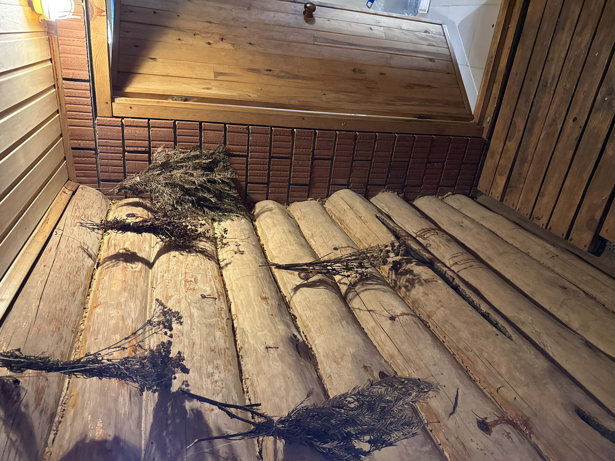 The image depicts the interior of a sauna in Tyulyuk, Russia. The benches are constructed from rounded logs. Dried bundles of herbs and foliage are scattered across the benches and near the wall. The wall is partially lined with brown brickwork. A wooden ceiling is visible. A light fixture is located in the upper left corner.
