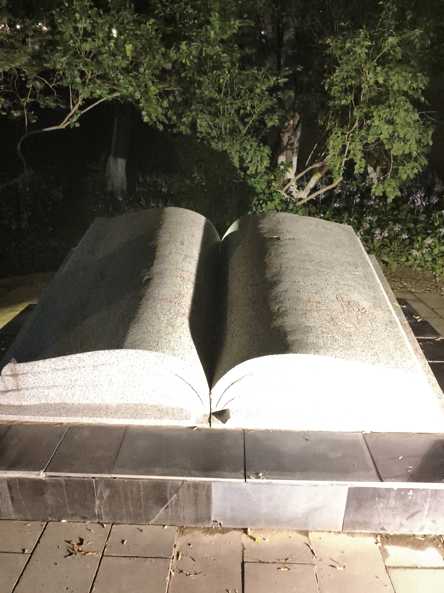 A large, open stone book sculpture is displayed outdoors at night on a paved area. The sculpture is positioned centrally in the frame, with its pages spread wide. The stone appears to be granite, with a rough, speckled texture. Red inscriptions or carvings are visible on the pages of the book. The sculpture rests on a base made of dark, rectangular tiles. The surrounding environment is dimly lit by artificial lights, casting shadows. In the background, lush green trees and some purple flowers are visible, suggesting a park or garden setting. The ground in front of the sculpture is paved with square tiles and littered with a few fallen leaves. The lighting creates a dramatic effect, highlighting the texture of the stone and the details of the inscriptions. The scene is static, with no people or animals present. The location is identified as Dongxing Street, China.
