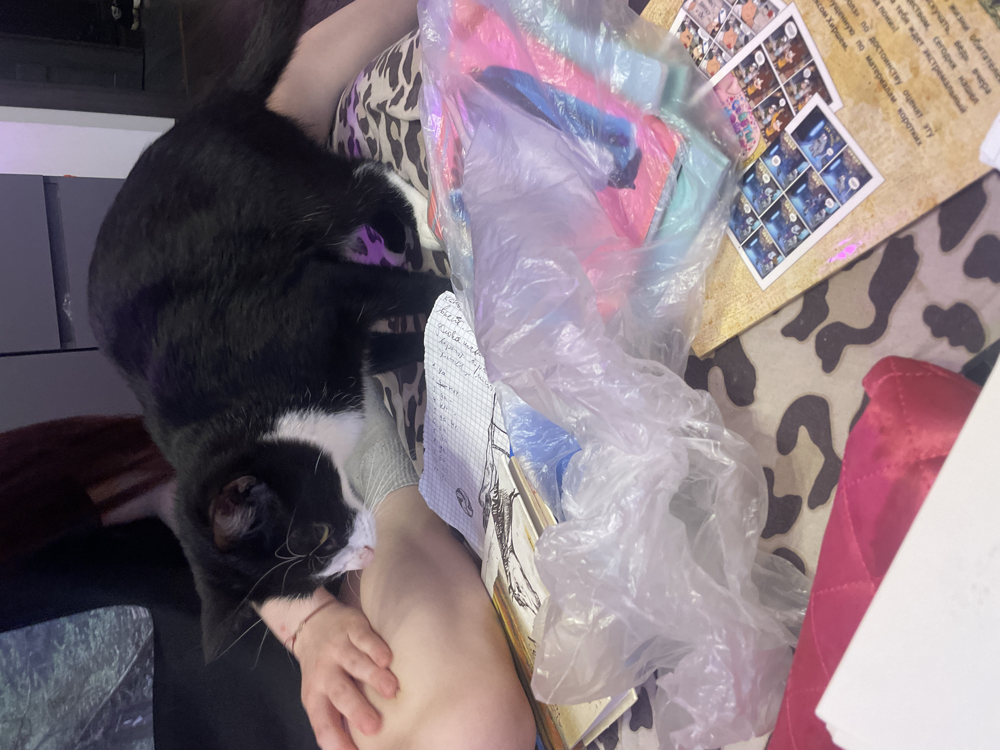 The image depicts a black and white cat interacting with a person's leg. The cat is positioned on the person's leg, appearing to sniff or lick it. The person's hand is also visible, resting on their leg near the cat. Various items are scattered around, including books, papers, and plastic bags containing colorful objects. The environment appears to be indoors, possibly a room with furniture and a dark background. No specific details suggest the location is in Saint Petersburg, Russia.