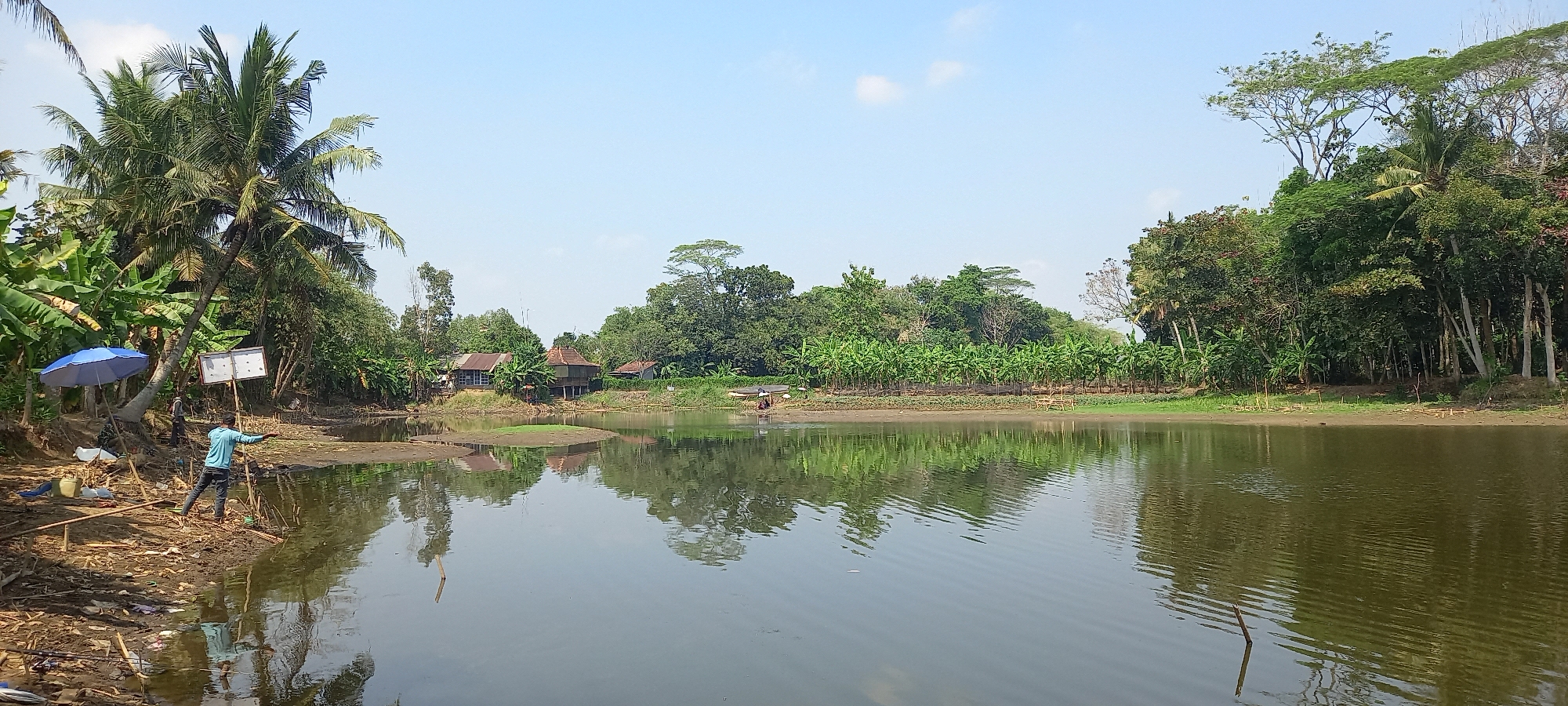 This is a horizontal, eye-level, medium shot of a body of water in Sidamulya, Indonesia, under a clear sky. The foreground is dominated by the murky water, reflecting the lush green trees and vegetation lining the far bank. The left side of the image shows a dirt bank with a few scattered objects, including a blue umbrella, some plastic containers, and fishing rods. A person in a light blue shirt and dark pants is standing on the bank, facing the water and with their right arm extended as if casting a fishing line. Behind them, another person is partially visible, also on the bank. The middle ground reveals several small, traditional-style houses with thatched or corrugated roofs, nestled amongst the trees. Further back, a dense line of banana trees forms a vibrant green band along the water's edge. The far background consists of a thick forest of various trees, including tall palm trees and other tropical foliage. The overall scene depicts a rural, tranquil environment with signs of human activity, likely related to fishing and daily life.