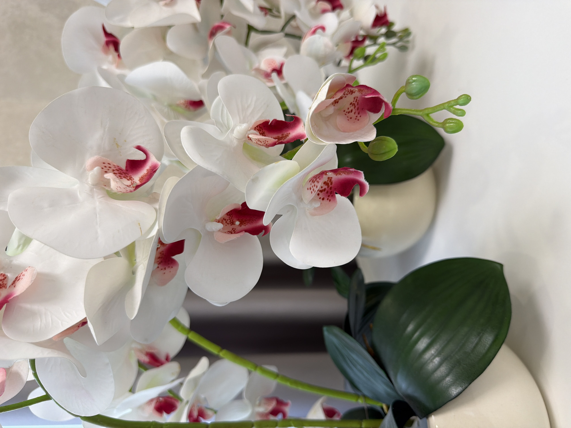 A close-up, eye-level shot focuses on a bouquet of white orchids with pink and crimson centers, set against a blurred background. The orchids are densely clustered, with some fully bloomed and others in bud. They are arranged in a cream-colored pot, with large, dark green leaves visible at the base. The pot itself is partially visible, resting on a white surface. The overall impression is one of delicate beauty and natural elegance, suggesting the image was taken indoors, possibly in a home or office setting. There are no people present, and the environment appears to be clean and well-lit. The depth of field is shallow, drawing attention to the intricate details of the orchids while softening the background.