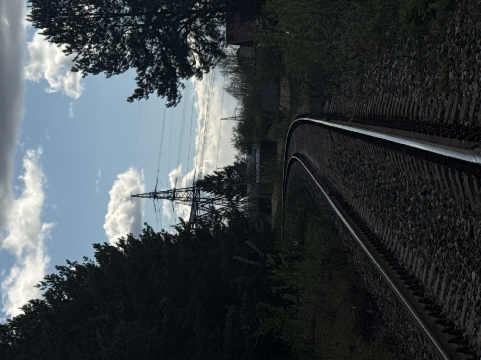 The image depicts a section of railway tracks curving to the right. The tracks are set on a bed of ballast. Dense vegetation lines both sides of the tracks. In the background, an electrical transmission tower stands against a partly cloudy sky. The trees partially obscure the view of buildings or structures further in the distance. The scene appears to be in an outdoor, potentially industrial area. The image's position suggests a perspective either from a low angle near the tracks or from an elevated position slightly offset from the railway. The location is identified as being in Chaikovsky, Russia.