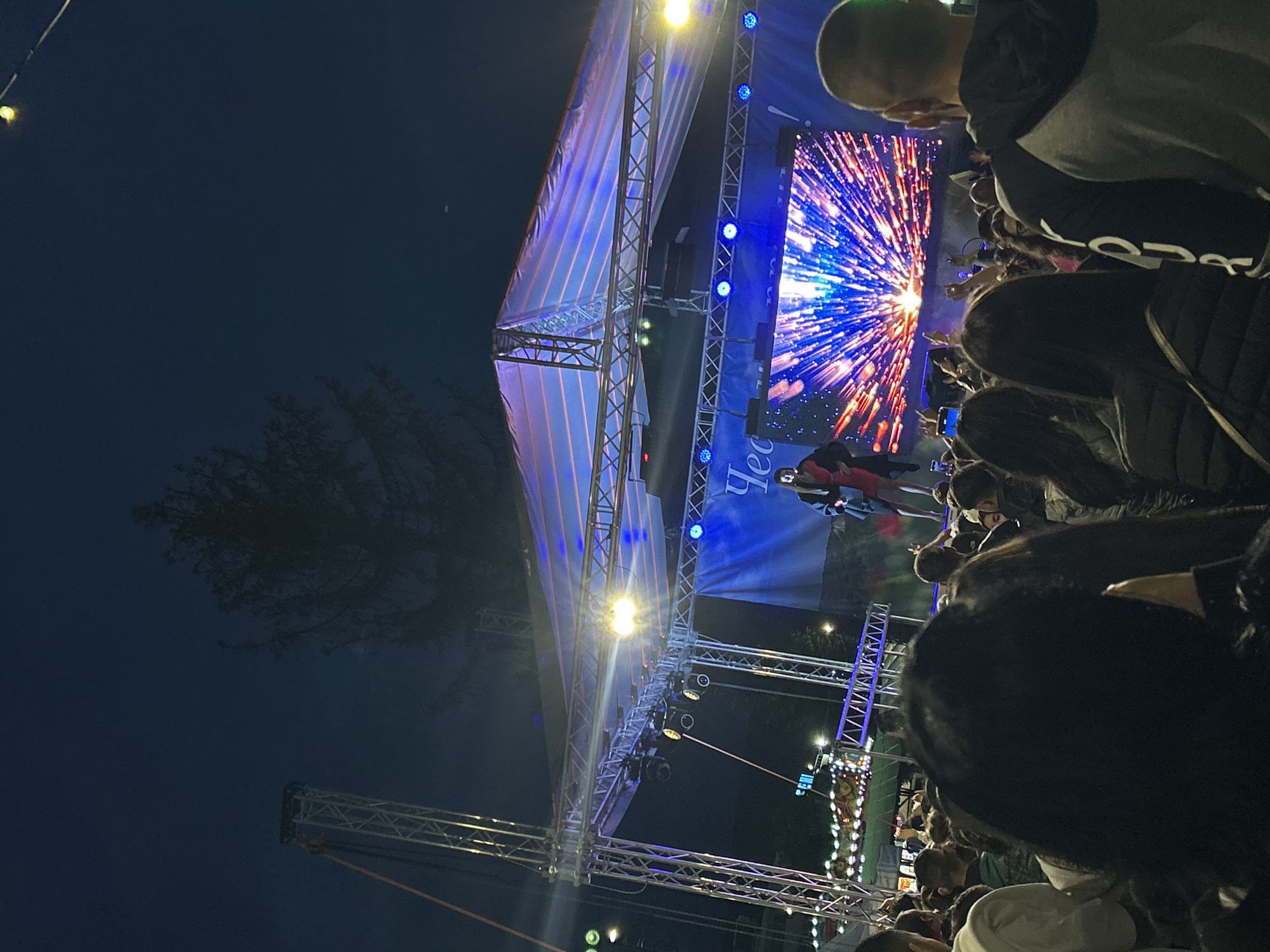 An outdoor nighttime concert is underway in a city. A stage with a large LED screen displaying an abstract pattern of light and color is set up. A performer dressed in a red costume stands on stage. A crowd of people are gathered in front of the stage, many holding up their phones. A large tree is visible in the background against a dark blue sky. The scene is lit by stage lights and the lights from the LED screen.