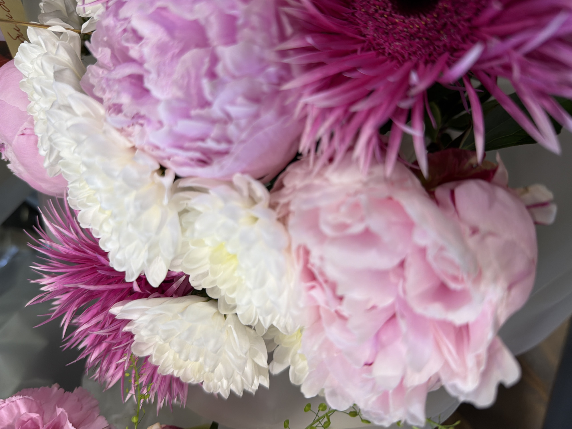 A close-up, eye-level, indoor shot features a bouquet of vibrant flowers. The arrangement includes large, fluffy pink peonies in the foreground and middle ground, with delicate white chrysanthemums nestled between them. Sharp, magenta-colored petals, possibly from a gerbera daisy, add a dramatic contrast to the softer hues. Small green buds and leaves peek out from behind the blooms. The background is softly blurred, suggesting a shallow depth of field. The lighting is even and diffused, highlighting the textures and colors of the flowers.