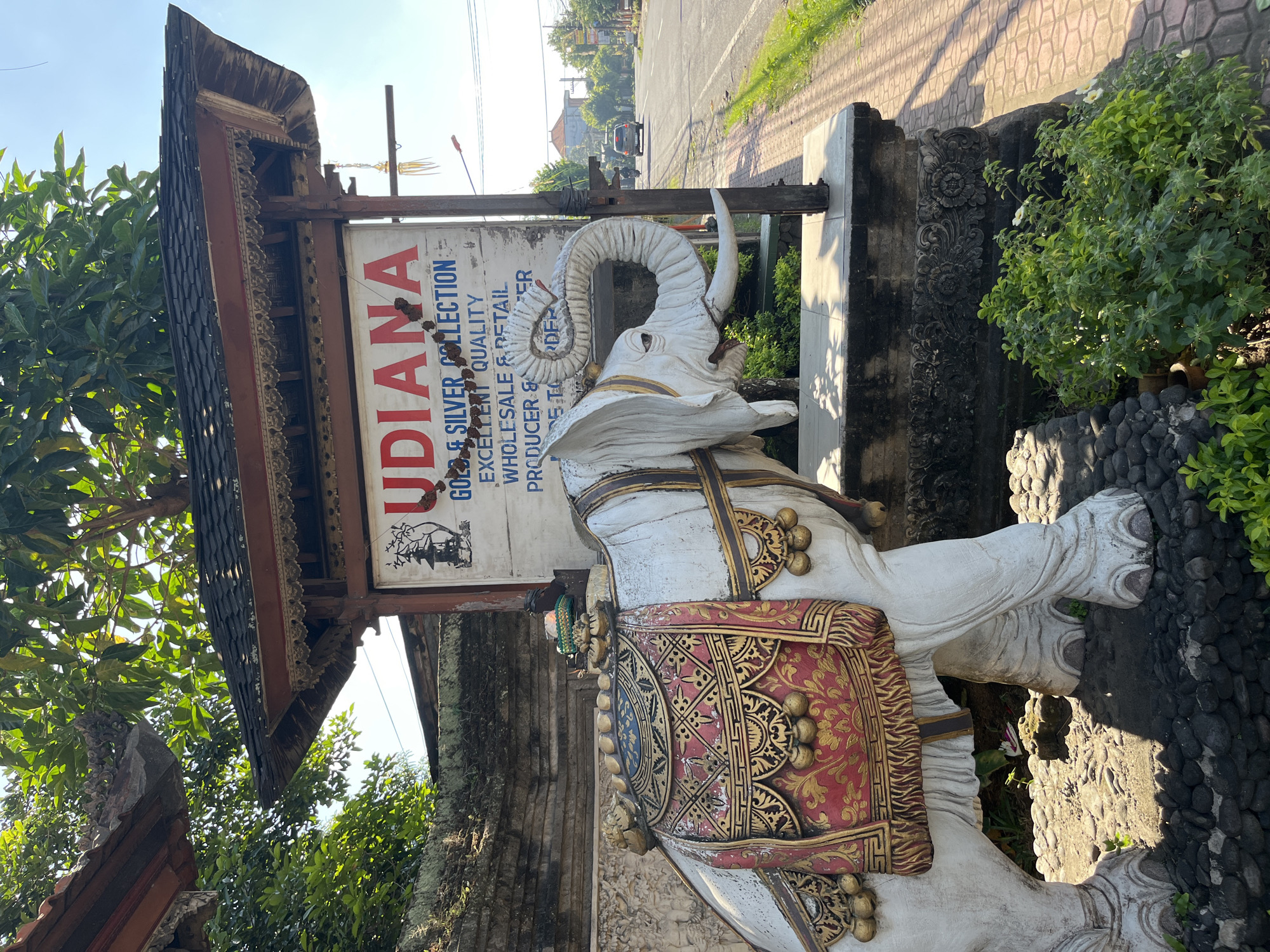 In Sukawati, Indonesia, an outdoor scene is depicted. In the foreground, a white elephant statue stands prominently, adorned with a red and gold decorative cloth covering its back and sides. The elephant's tusks are visible, and its trunk is curled upwards. Behind the elephant, a weathered sign is mounted on a wooden structure, displaying text in red and blue. The sign reads "UDIANA GOLD & SILVER COLLECTION" and "EXCELLENT QUALITY WHOLESALE & RETAIL PRODUCER & EXPORTER". The structure has a dark, tiled roof with ornate wooden trim. To the right of the sign, a paved sidewalk is visible, and beyond that, a road with a single car and a motorcycle driving away from the camera. Green foliage and trees are present on the left side of the image, and in the background, a few buildings and more trees can be seen under a clear sky. The sun casts shadows across the scene, indicating it is daytime.