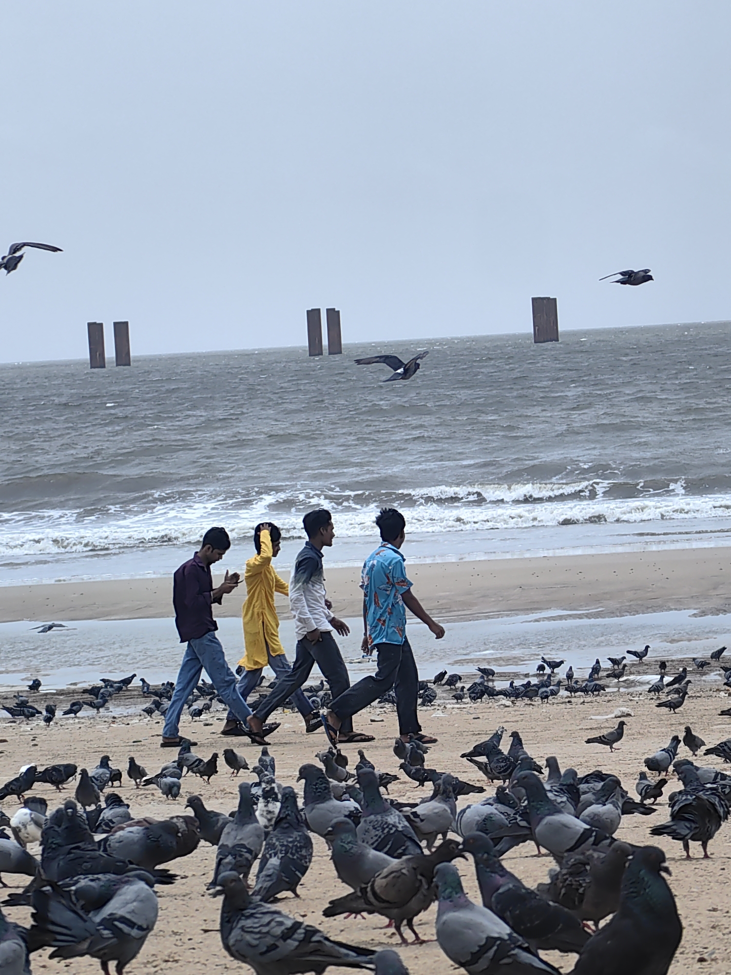 Four young men walk along a sandy beach next to a turbulent, gray ocean under an overcast sky. The men are walking from left to right across the frame. The first man on the left wears a dark maroon shirt and blue jeans. He holds a mobile phone in his left hand and looks down at it. The second man wears a bright yellow kurta and pants. The third man wears a white shirt with a gray collar and dark pants. The fourth man, on the far right, wears a blue shirt with a floral pattern and dark pants. He is walking away from the camera. A large flock of pigeons is gathered on the sand in the foreground, and several more pigeons are visible in the distance. In the ocean, there are waves breaking on the shore. In the background, there are several wooden posts sticking out of the water, and more posts are visible on the horizon. The overall impression is of a cloudy day at a busy beach with many pigeons. This scene is likely at Juhu Beach in Mumbai, India, a popular tourist destination known for its crowded shores, street food, and large pigeon population.