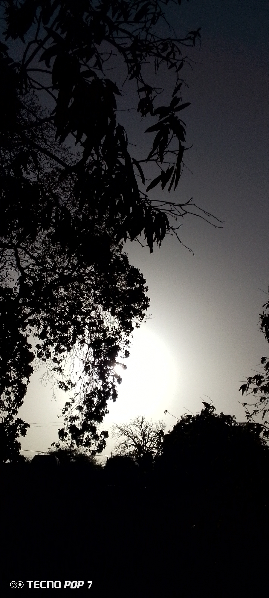 The image depicts a silhouette landscape under a bright, hazy sky. The silhouettes are primarily of trees and foliage, some of which appear to be in the foreground, while others are further away. The light source is likely the sun, obscured by clouds or haze, creating a diffuse, glowing effect. The photograph was taken with a TECNO POP 7 mobile phone. The location is presumed to be Altagracia, Venezuela, based on the prompt.