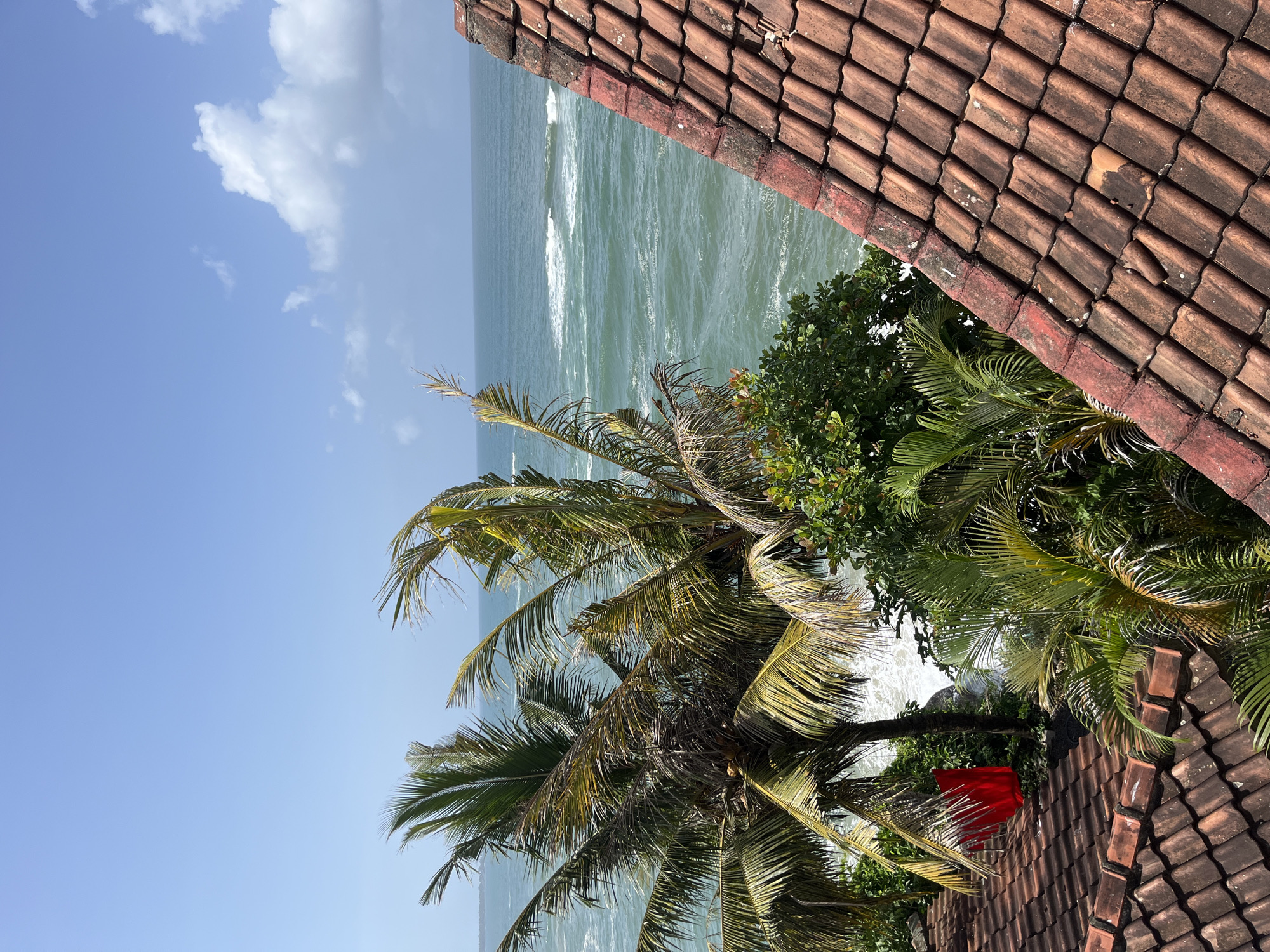 The image depicts a tropical coastal scene, likely in Matara, Sri Lanka, with a focus on the natural environment and man-made structures. In the foreground, a weathered terracotta tiled roof dominates the right side of the frame, showing signs of age and exposure to the elements. The tiles are reddish-brown, with some discoloration and moss growth.
To the left of the roof, lush green foliage and palm trees are visible. The palm fronds are broad and extend upwards and outwards, some appearing dry and wind-swept. Amidst the greenery, a bright red object, possibly a piece of cloth or laundry, is hanging from a branch or structure, providing a stark color contrast to the surrounding natural hues.
Beyond the vegetation, the ocean stretches out to the horizon. The water is a vibrant teal color, with whitecaps indicating moderate waves. The sea appears dynamic, with ripples and swells visible on its surface. The sky above is a clear blue, with a few scattered white clouds adding texture and depth to the upper portion of the image. The overall impression is one of a sunny day in a coastal locale, offering a view that combines domestic architecture with the natural beauty of the sea and tropical flora.