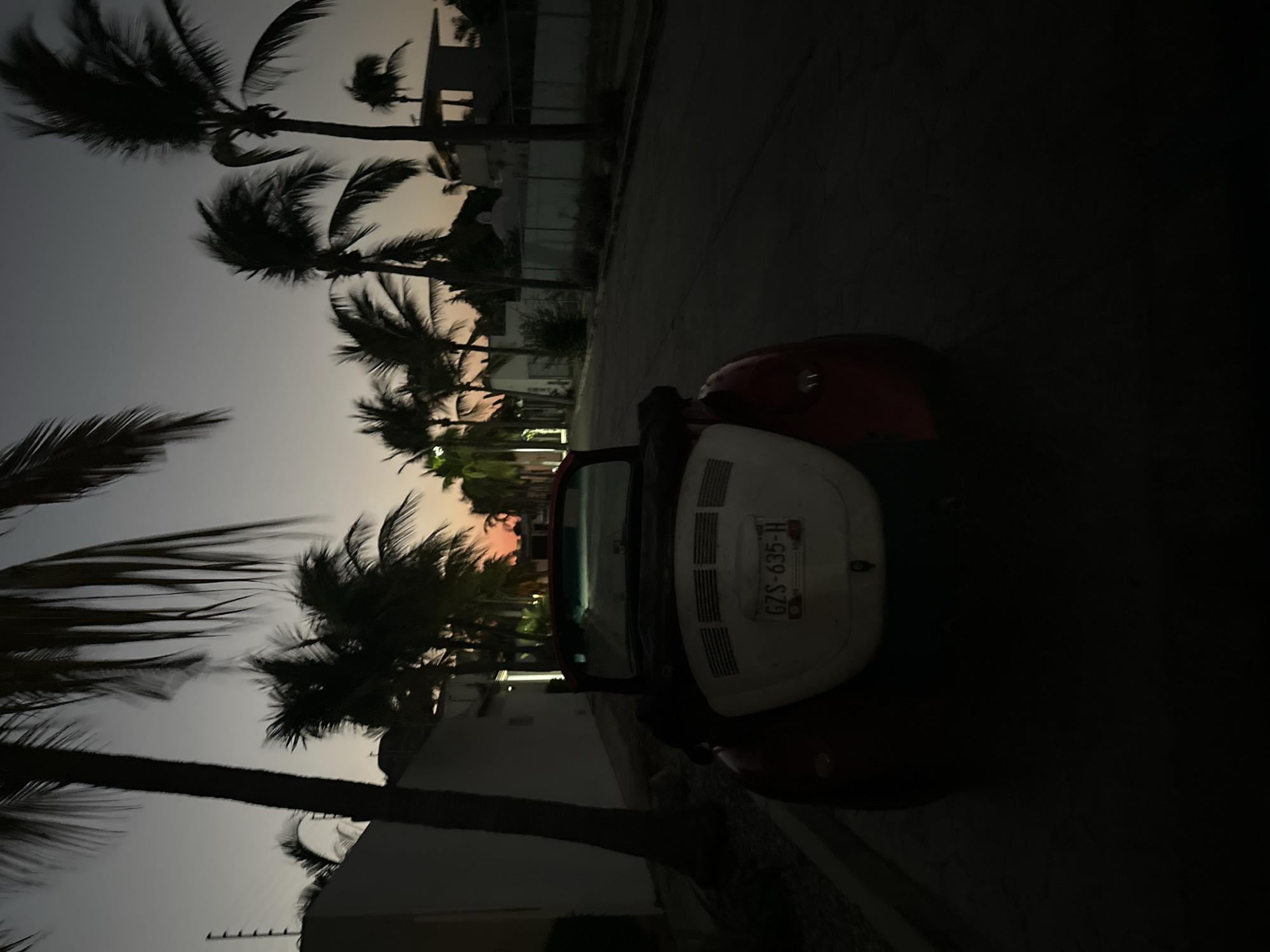 The image shows a red and white Volkswagen Beetle parked on a street lined with palm trees in Puerto Escondido, Mexico. It is twilight. The sky is a mix of orange and grey. The license plate of the Beetle reads "GZS-635-H".
