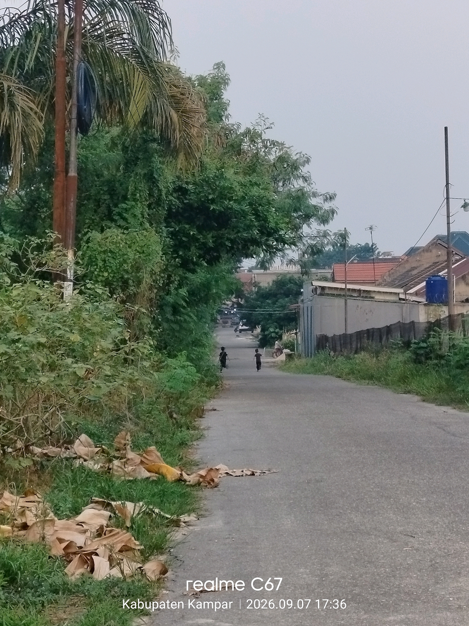A paved road winds through a residential area with lush green vegetation on both sides. On the left, a tall palm tree stands next to a rustic pole, with a dark, circular object hanging from it. A pile of dried leaves is visible at the base of the tree. Further down the road, two children are walking away from the camera. On the right, houses with tiled roofs are visible behind a grey wall. A blue water tank sits atop one of the buildings. The sky is overcast, suggesting a cloudy day. The timestamp on the image reads "2026.09.07 17:36" and the location is identified as "Kabupaten Kampar, Indonesia".