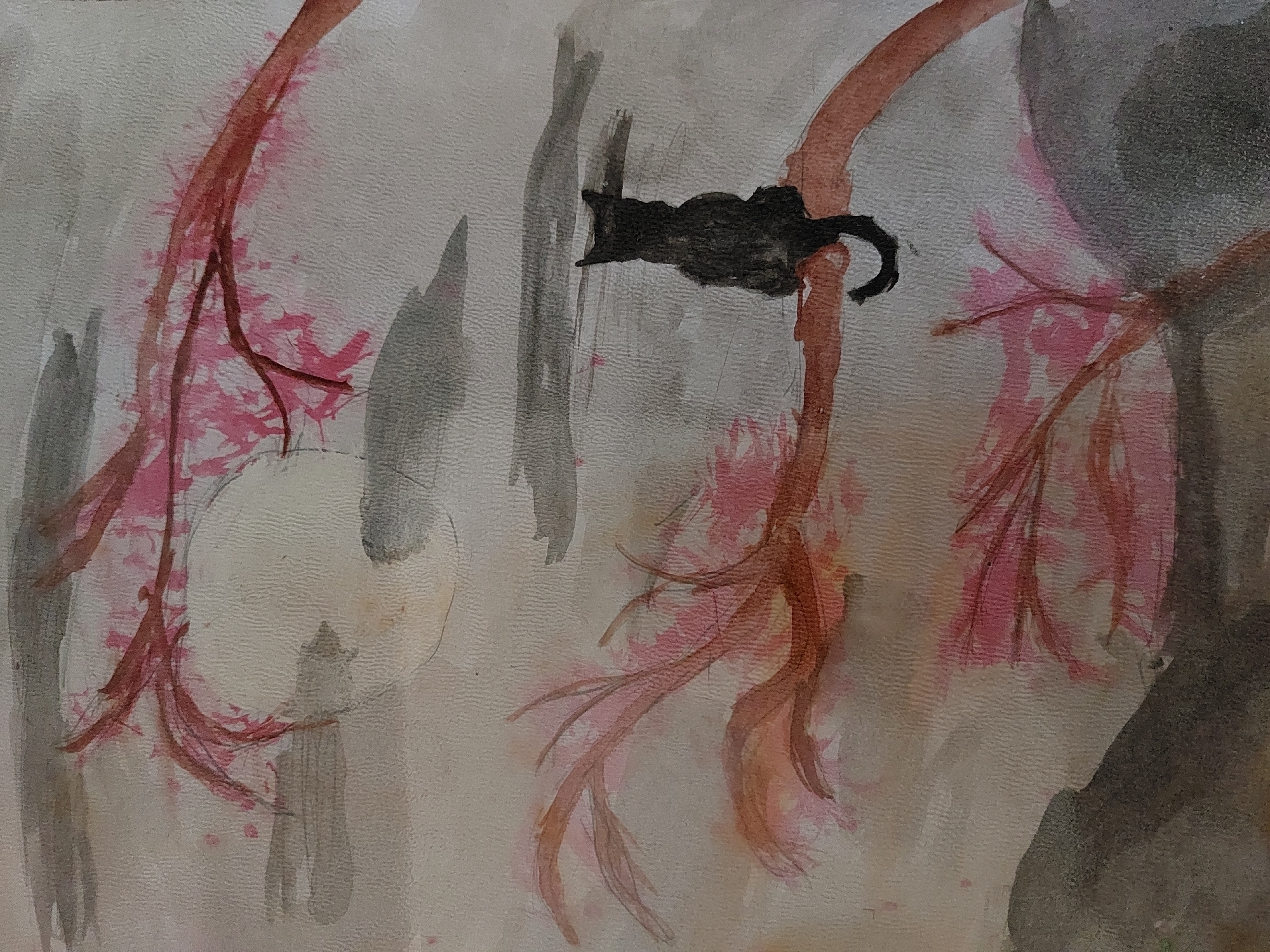 The image is a watercolor painting depicting a black cat resting on a red branch of a tree with pink blossoms. The background is a textured, pale gray and white wash with vertical gray brushstrokes. The branch is positioned diagonally, extending from the upper right to the center of the image. A pale, circular shape is visible on the left side. The painting is likely depicting a scene in nature. Given the mention of Chaikovsky, Russia, it might portray a local tree with a cat.