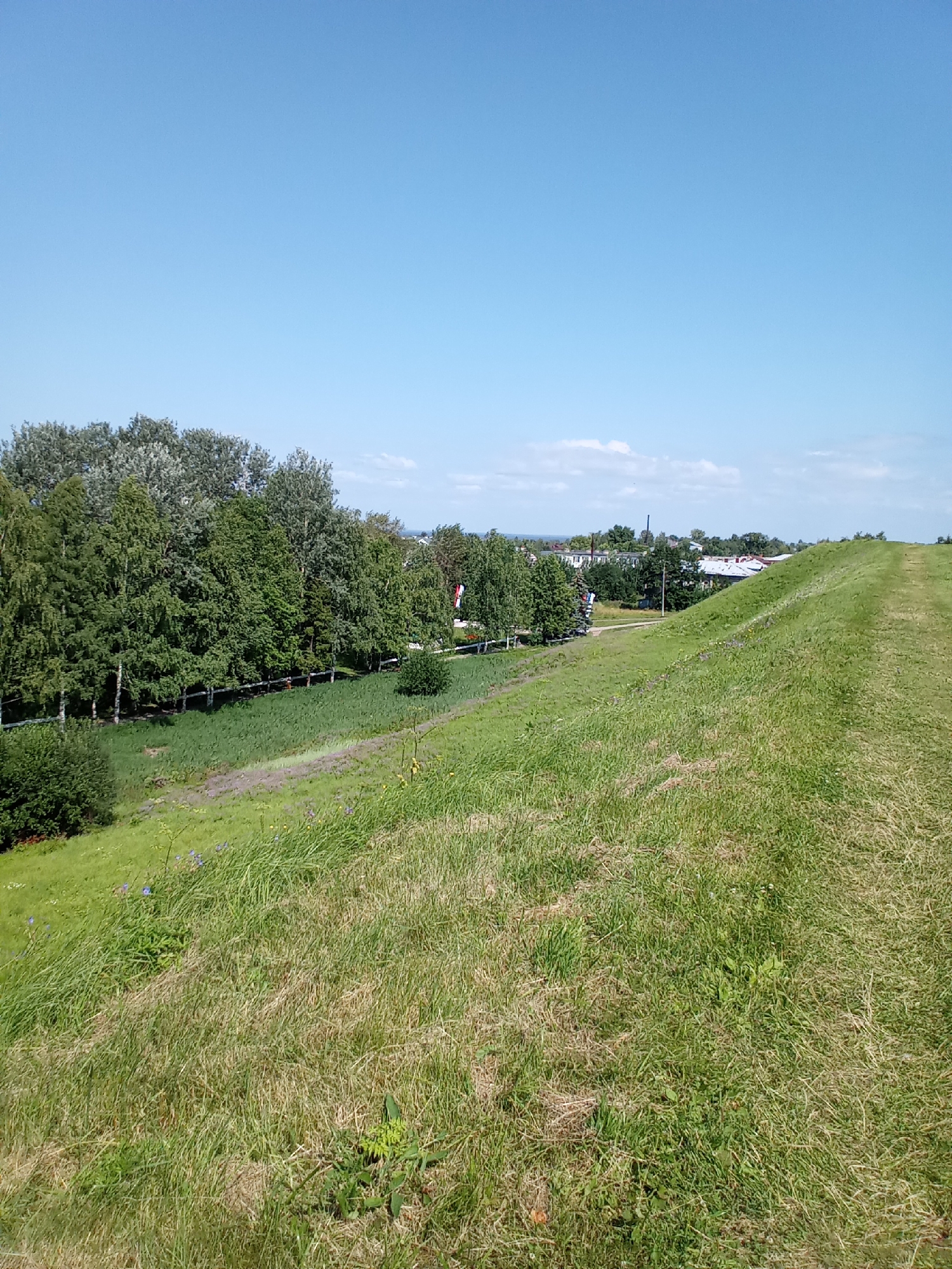 The image captures a panoramic view of a grassy hill in Belozersk, Russia, under a clear blue sky with a few wispy clouds. The foreground is dominated by the undulating green slope of the hill, covered in a mix of lush grass and patches of dry straw-like vegetation. Small, scattered blue and yellow wildflowers are visible amongst the grass, adding touches of color to the scene.

In the middle ground, a line of trees forms a distinct border along the lower edge of the hill. These trees are a mix of deciduous species, with dense green foliage. Beyond the trees, a settlement is visible, characterized by several buildings with red and grey roofs. The architecture suggests a historical or traditional Russian town. A white fence runs alongside the trees, separating the grassy area from the settlement.

Further in the distance, a flagpole with a flag is visible, hinting at a public or historical site. The overall environment appears to be a park or a landscaped area within the city, offering a serene natural landscape juxtaposed with the urban environment. The sun is shining, indicating a bright, warm day. There are no people visible in the frame. The image conveys a sense of peace and the beauty of the Russian summer landscape.