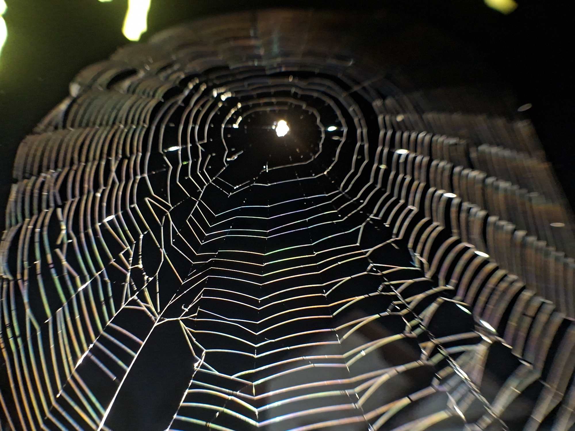 The image shows a spider web against a dark background. The web is constructed with radial lines extending from the center and connected by circular threads. The threads of the web exhibit iridescent colors. At the center of the web, a small light source is visible. The location is unknown.