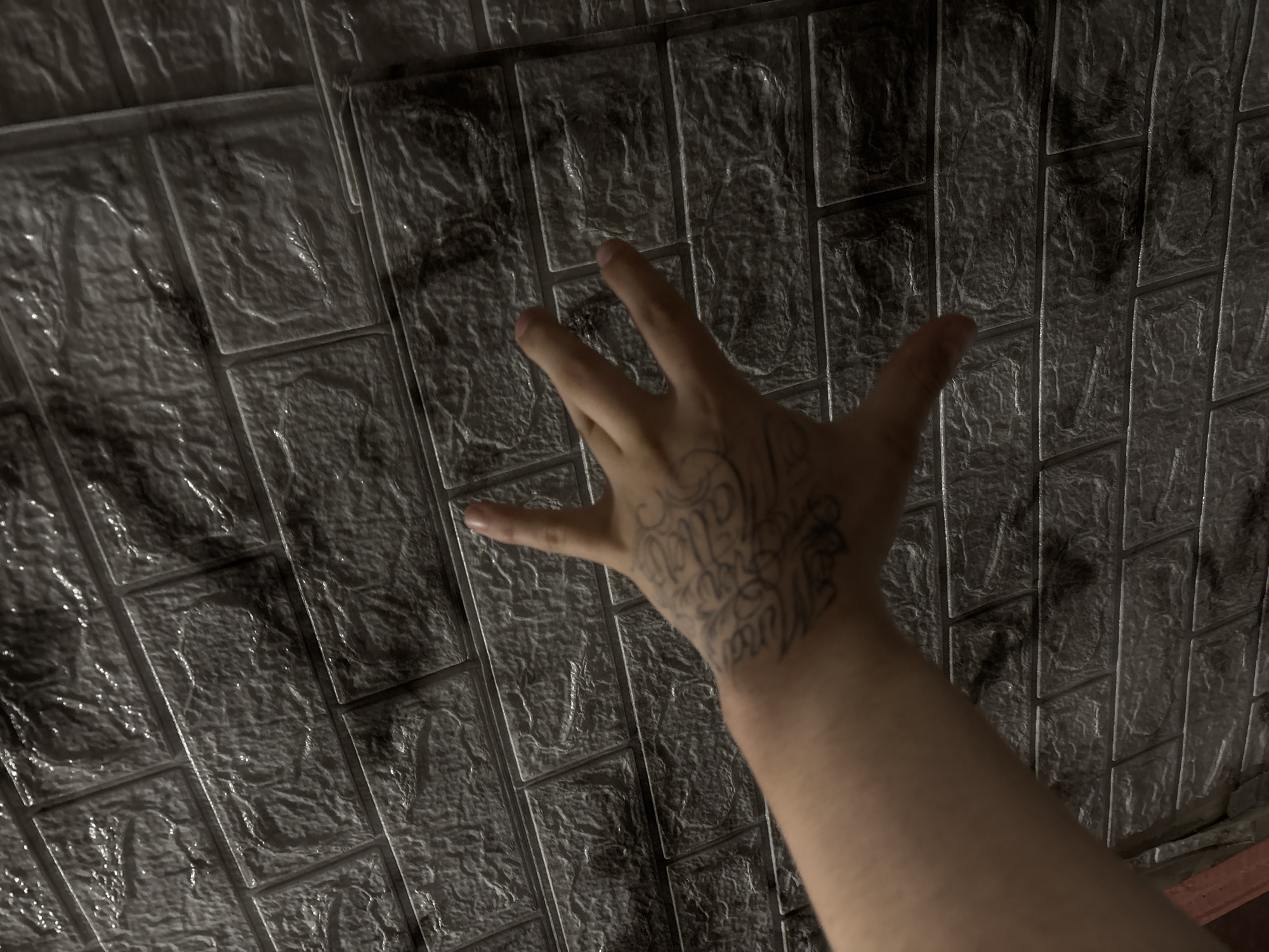 A photograph presents a close-up, canted view of a person's right arm and hand with a tattoo on the back of the hand, superimposed against a backdrop of a brick-patterned surface. The skin tone of the arm and hand appears light. The hand is positioned with fingers spread out, as if reaching toward the patterned surface. The brick pattern is repetitive and uniform across the field of view. The setting or location is not specified.