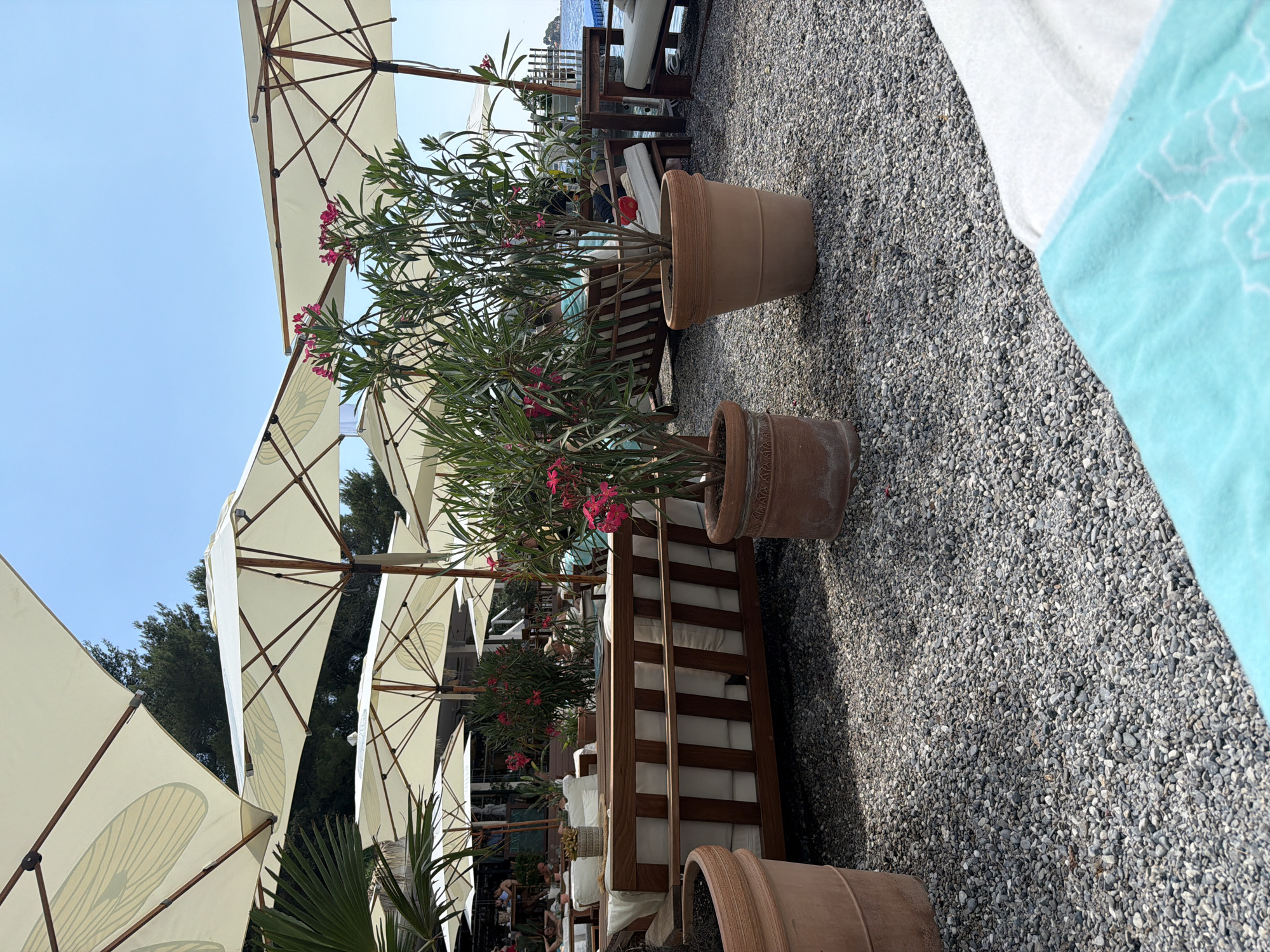 This media file depicts an outdoor seating area, likely a cafe or restaurant, with a view of the sea in Budva, Montenegro. The scene is bathed in sunlight, suggesting a clear day, possibly late morning or afternoon.
The primary subjects are rows of white outdoor umbrellas providing shade over wooden benches with white cushions. Two large terracotta pots with flowering plants, featuring pink blooms, are prominently placed in the foreground, adding color and life to the scene. The ground is covered with small, grey pebbles. In the background, a body of water, presumably the sea, is visible, with hints of distant land or islands. Some people are visible in the background, seated and enjoying the setting.
The overall atmosphere appears relaxed and inviting, characteristic of a seaside leisure spot. The presence of umbrellas, comfortable seating, and the proximity to the water suggests a location designed for patrons to enjoy the outdoors. There is no visible text in the image.