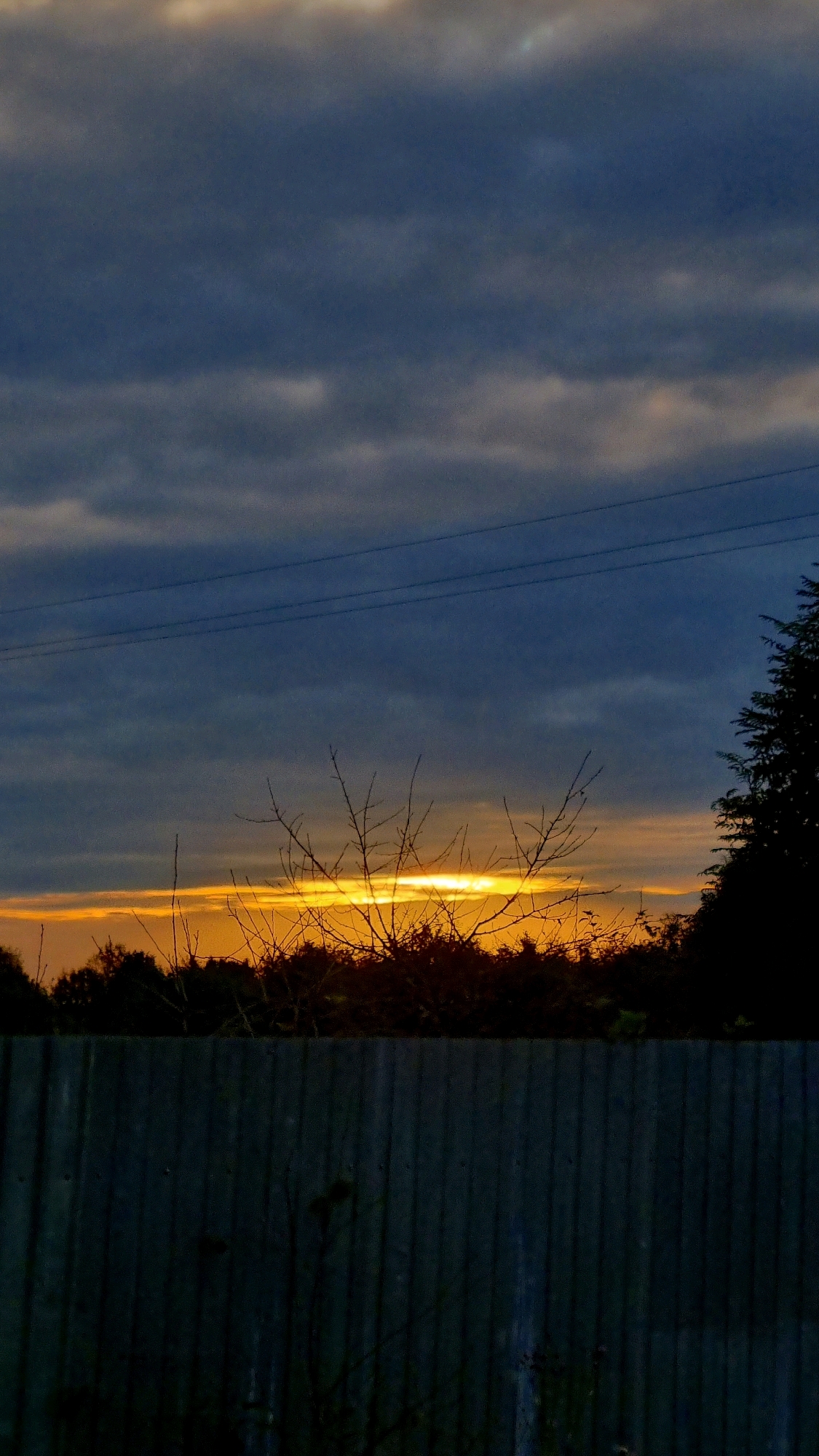 The image depicts a sunset scene in Vysokoe, Russia. A wooden fence dominates the foreground, stretching horizontally across the bottom of the frame. Above the fence, a silhouetted treeline with bare branches is visible against the vibrant orange and yellow hues of the setting sun. The sky is filled with dark, cloudy formations, with two distinct power lines running horizontally through the upper portion of the image. To the right, a portion of a dark, coniferous tree is visible, also silhouetted against the sky. The overall impression is one of a rural or suburban twilight.