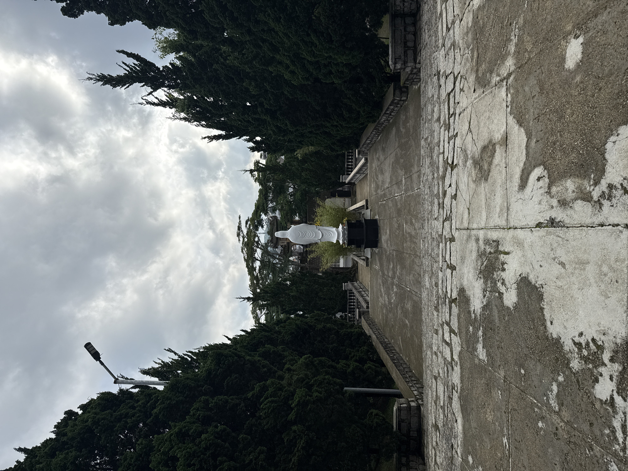The image displays an outdoor, solemn setting, likely within temple or monastery grounds in Da Lat, Vietnam. A prominent white statue, possibly of Buddha or a Bodhisattva, stands at the perceived end of a wide concrete pathway or staircase, positioned on a dark, rectangular base. Smaller green foliage surrounds the base of the statue.
The pathway is flanked on both sides by dense, tall, dark green trees, resembling cypresses, which create an avenue-like effect. The concrete surface of the path shows significant signs of age and weathering, including numerous cracks, areas of discoloration, and dark patches that suggest dampness or moss growth. Stone railings with balusters line the sides of the pathway.
The sky is heavily overcast with thick grey and white clouds, indicating a cloudy daytime setting. A modern lamppost with a black fixture extends above the treetops on the left side of the frame. No people are visible, and no specific activity is taking place. The scene conveys a sense of tranquility and age. There is no visible text in the image.