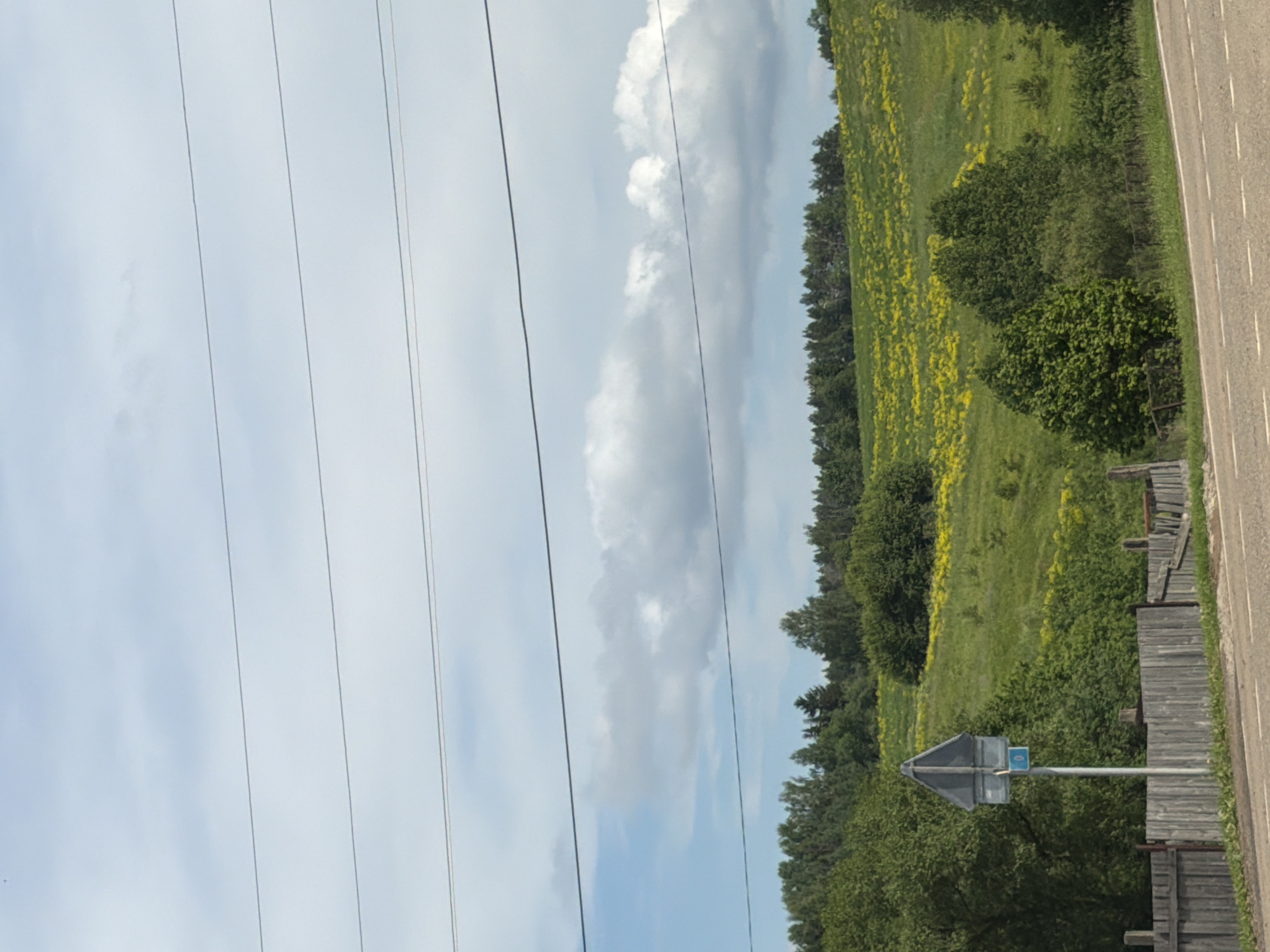 This landscape image, set in Lukintsy, Russia, captures a bright, partly cloudy day. The sky, a mix of light blue and white fluffy clouds, dominates the upper portion of the frame. Several thin, dark power lines stretch horizontally across the sky, adding an element of infrastructure to the natural scene.
Below the sky, a vast, green field unfolds, extensively covered with bright yellow flowers or crops, possibly rapeseed, suggesting a vibrant seasonal display. A line of dense green trees and bushes borders the field in the midground and distance. On the right side of the image, a paved road with a white dashed line runs parallel to the field.
Along the edge of the road, a rustic wooden fence, constructed from weathered planks, separates the thoroughfare from the field. In the lower right corner, a dark, triangular road sign with a white border is visible. Below it, a smaller blue square sign with a white circle is attached to the same pole; the specific symbol within the circle is unclear. No people or animals are present, emphasizing the serene and open character of the rural landscape. The bright lighting indicates it is daytime.