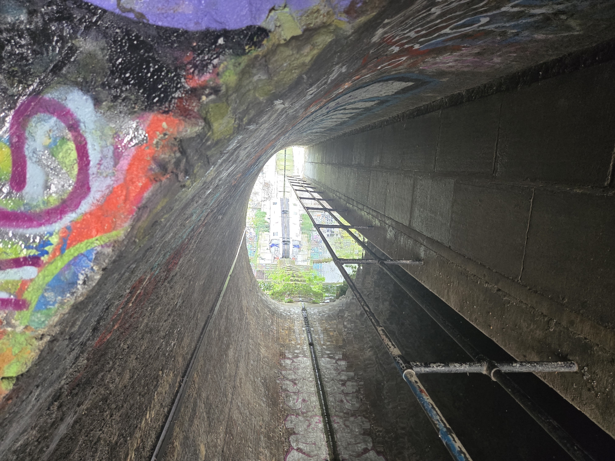 The image is an interior view of the Camden Catacombs, located in the London Borough of Camden, United Kingdom. The perspective is from within a brick-lined tunnel, looking toward the entrance. Graffiti covers the walls on either side of the tunnel's opening. A metal ladder extends down the tunnel's center, leading toward the light at the entrance. Outside the tunnel, buildings and vegetation are visible. A black pipe also extends down the tunnel on the tunnel floor. The lighting is dim inside the tunnel, contrasting with the daylight at the exit. The tunnel walls appear damp.