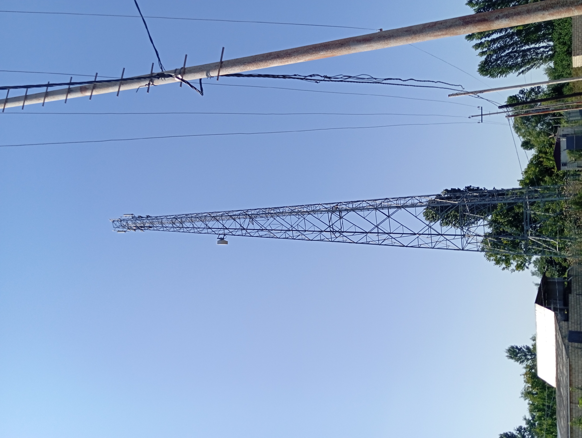 A wide, low-angle outdoor shot captures a clear blue sky above a rural or semi-rural landscape. Dominating the center-left of the frame is a tall, lattice-style telecommunications tower. The tower is metallic, with a complex network of crisscrossing supports. Mounted on the tower at various levels are antennas and electronic equipment. To the right of the telecommunications tower, and also extending into the frame from the right edge, is a thick, weathered wooden utility pole. This pole has visible rungs or steps ascending its height and is strung with numerous overhead electrical or communication wires that stretch across the sky. In the lower portion of the image, the scene transitions to the ground. A building with a corrugated metal roof is visible on the left. Behind and around these structures, a dense line of green trees forms a natural backdrop, with some of the trees reaching up towards the telecommunications tower. The overall impression is one of infrastructure amidst a natural setting under a bright, cloudless sky.
