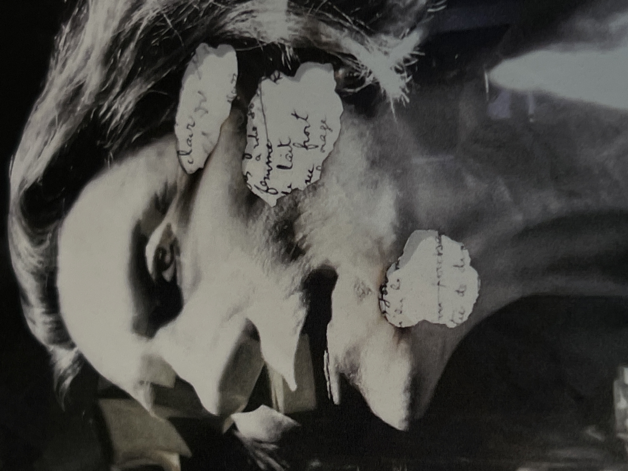 The image is a black and white close-up of a person's face in profile. The face is obscured by three small pieces of paper with handwriting on them. The paper on the forehead appears to say "clair", the paper near the eye appears to say "femme li(i) fort", and the paper near the cheek says "m...de l'imperieuse". The person has hair pulled back from their face. The overall impression is artistic and somewhat obscured. There is no indication of Tel-Aviv or Israel.