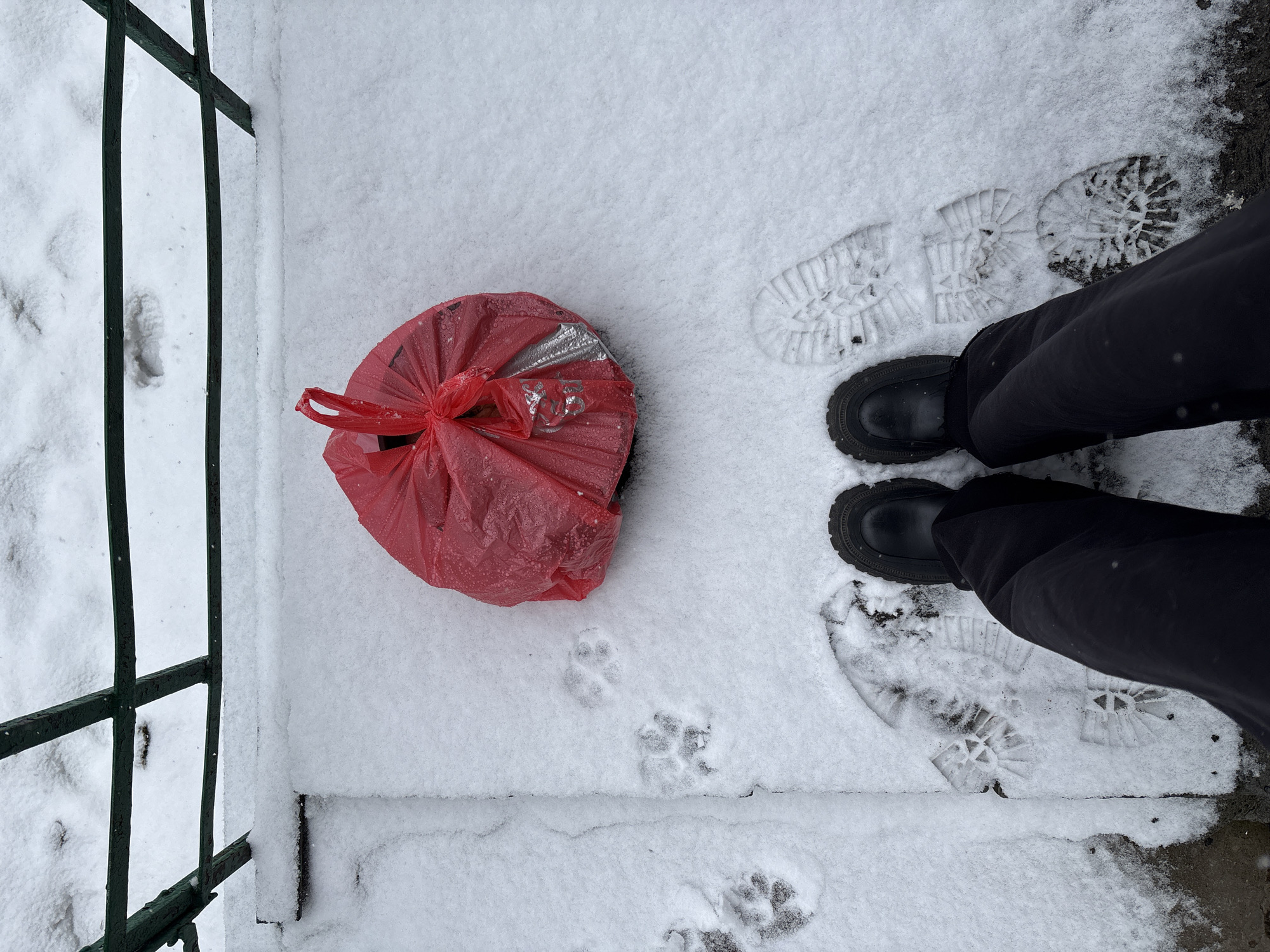 The image captures a snowy outdoor scene, likely a residential area, but there is no specific evidence in the image to confirm the location is Ust-Ilimsk, Russia. A red plastic bag, tied at the top, sits on the snow-covered ground near a green metal fence. Footprints, presumably human, are visible in the snow. Adjacent to the footprints are a pair of black boots or shoes, indicating a person standing in the snow. Also present are smaller paw prints, indicating the presence of an animal, possibly a dog or cat. The scene suggests a recent snowfall.