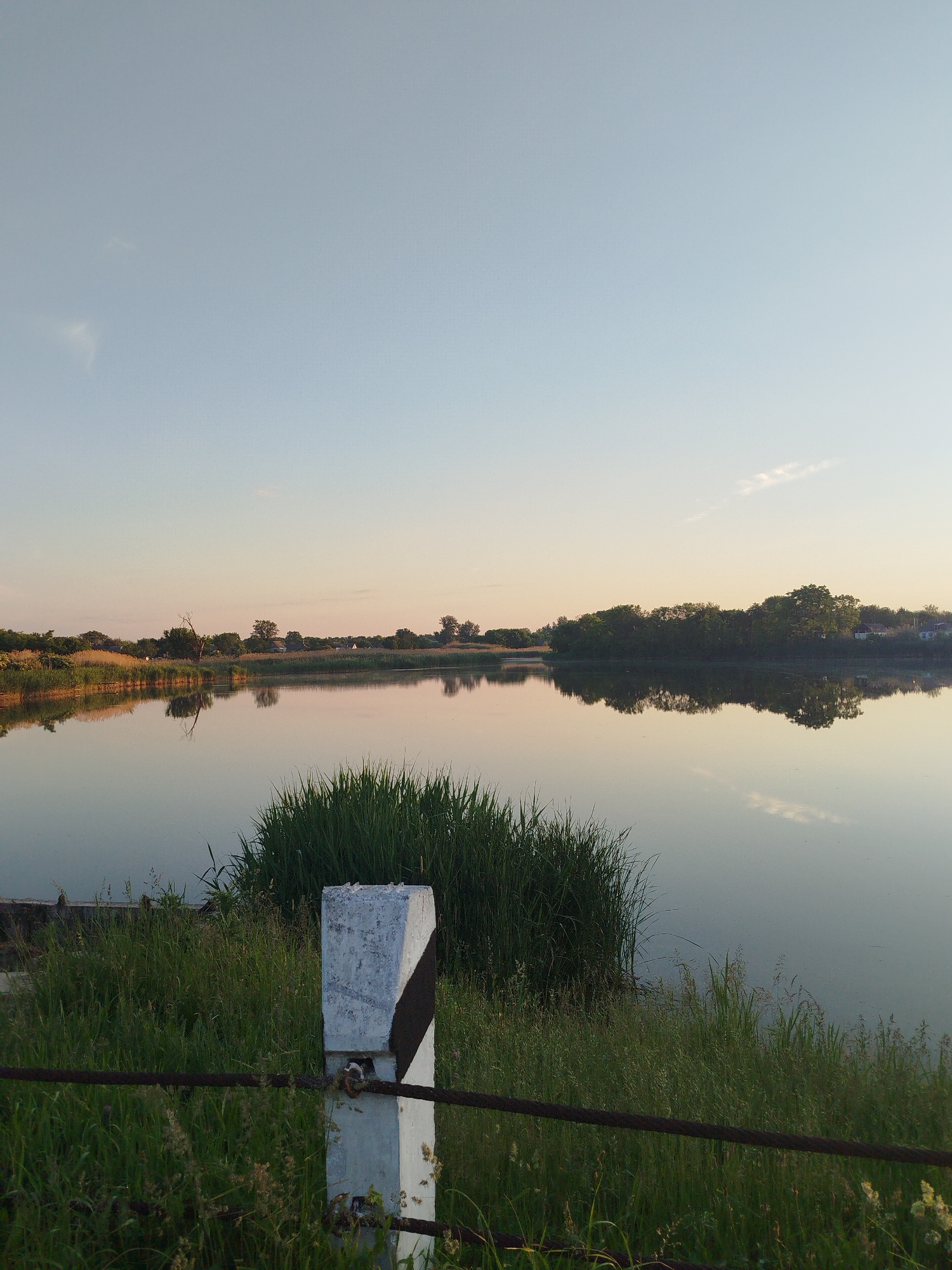This image, captured in Ustyvytsia, Ukraine, depicts a serene landscape featuring a still body of water under a twilight sky. The sky, occupying the upper frame, transitions from a pale blue at the zenith to a soft peach-pink near the horizon, with minimal, wispy clouds present. The calm water, acting as a reflective surface, mirrors the sky and the distant shoreline with high fidelity. The far bank is densely populated with a mix of green trees and various types of vegetation, with several indistinct structures or buildings visible interspersed among the foliage. A distinct, bare tree is notably reflected in the water on the left side of the composition. In the immediate foreground on the right, a cluster of tall, dense green reeds or rushes emerges from the water's edge. The lower foreground features a weathered, white rectangular concrete post with a diagonal dark stripe, positioned slightly to the right of center. A rusty, dark metal cable or bar is threaded through or rests against this post, extending horizontally across the lower portion of the frame. The ground surrounding the post and cable is covered with a mix of green and drier, lighter-colored grasses. No human figures or active subjects are discernible within the scene.