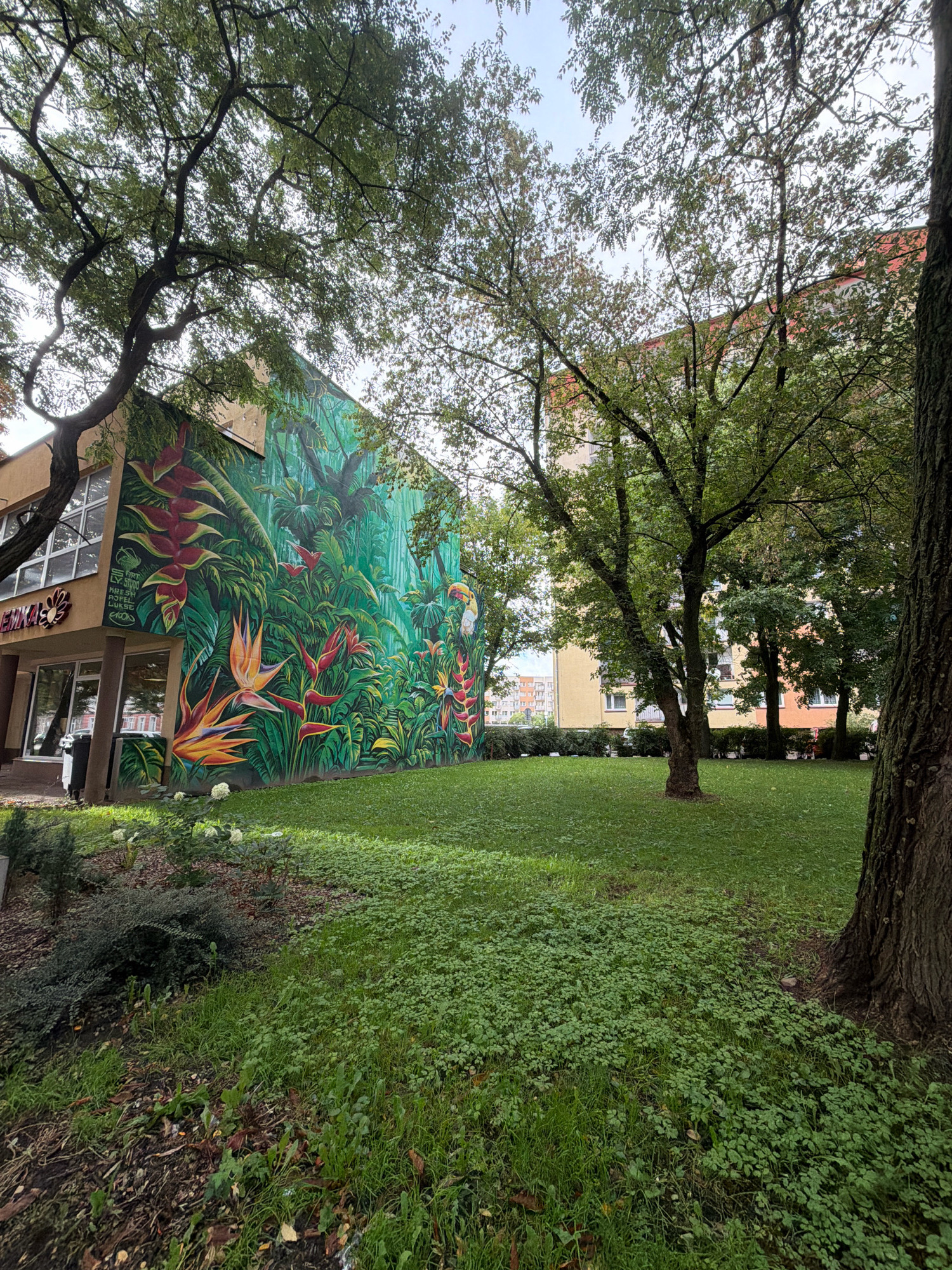 The image captures a mural depicting a vibrant tropical rainforest on the side of a building in Koszalin, Poland. The mural features lush green foliage, large colorful flowers such as heliconia and bird of paradise, and a toucan. The building itself has a light-colored facade with large windows and a signage that reads "EMKA". In front of the mural is a well-maintained grassy area with trees casting shadows. To the right of the mural, the corner of another building is visible, with trees and a grassy lawn in the foreground. The sky is overcast, suggesting a cloudy day. The overall scene is one of an urban environment enhanced by public art, with a focus on nature and flora.