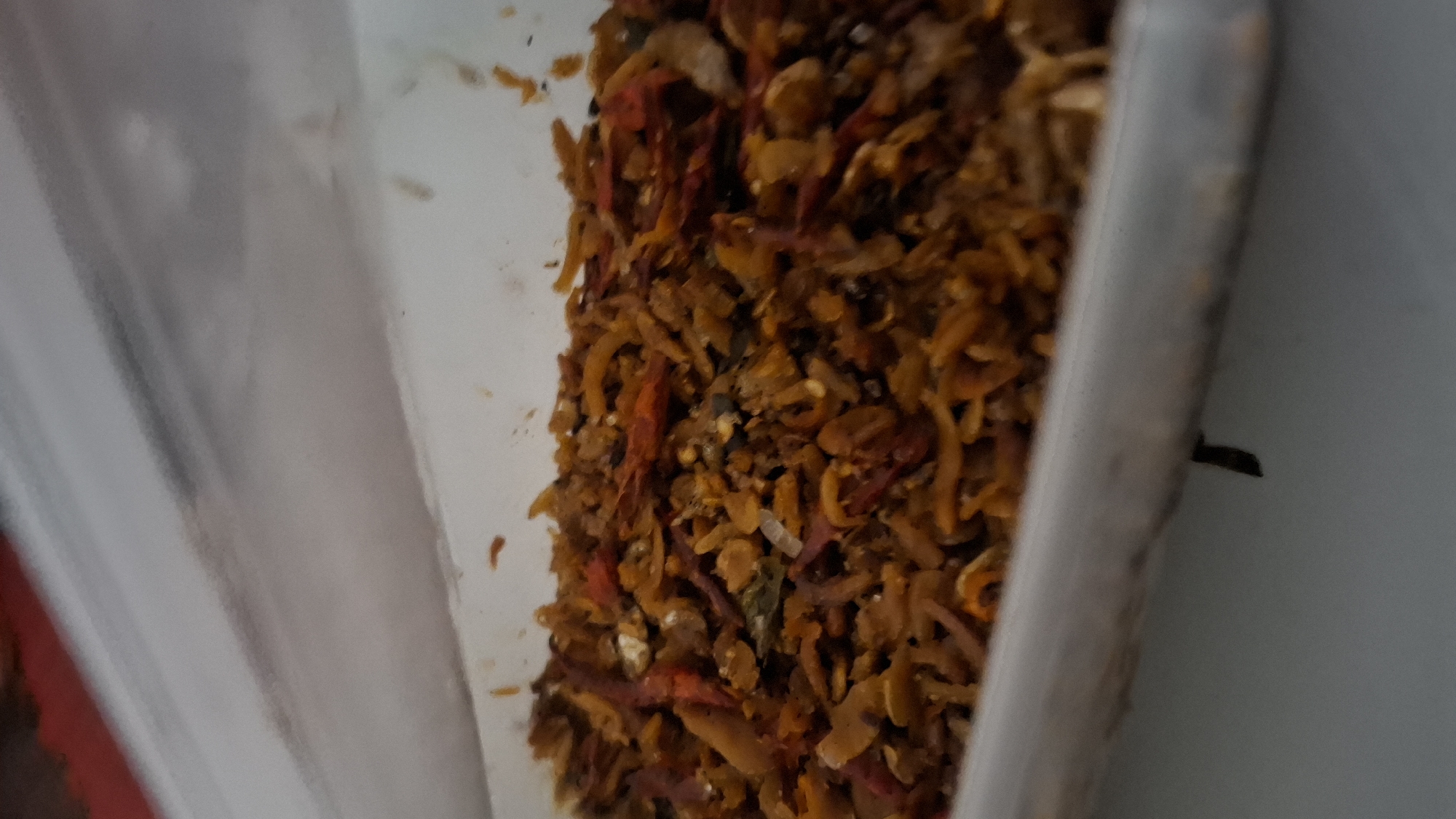 An overhead shot focuses on a close-up of a white container filled with a mixture of dried chili peppers and what appear to be small, dried fish or shrimp. The contents are predominantly reddish-orange and brown, with some lighter yellow or beige pieces scattered throughout. The texture is rough and uneven. The container itself is white and appears to be made of plastic. The background is blurred, showing a white surface with some subtle gray and red elements, hinting at the surrounding environment. There is no discernible location information related to Cibinong Hilir, Indonesia within the image itself.