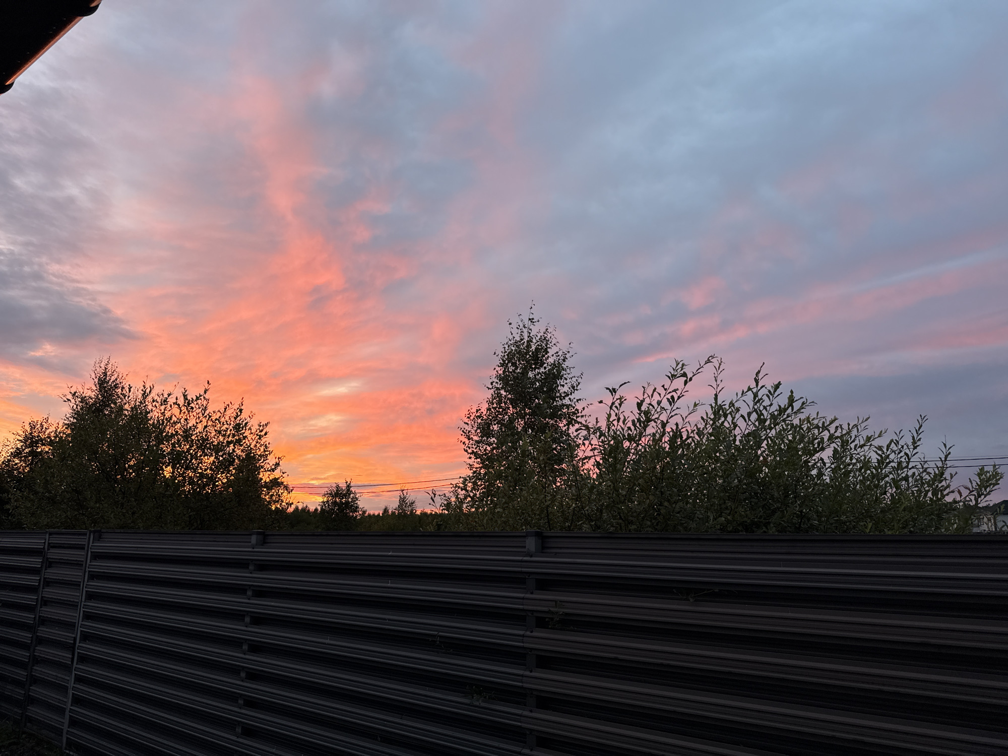 This is a horizontal, eye-level, outdoor photograph taken at dusk in Kolyasovo, Russia. The foreground is dominated by a dark, corrugated metal fence that spans the lower third of the image. Above the fence, silhouetted trees and foliage are visible against a vibrant sky. The sky itself is a dramatic canvas of color, with hues of bright pink and orange from the setting sun blending into softer purples and grays higher up. Wispy clouds are illuminated by the sunset, creating streaks and patches of color across the sky. A dark, angular structure, possibly a roofline, is visible in the upper left corner of the frame. The overall scene depicts a tranquil, natural landscape during sunset, framed by man-made elements. There are no people or animals visible in the image.