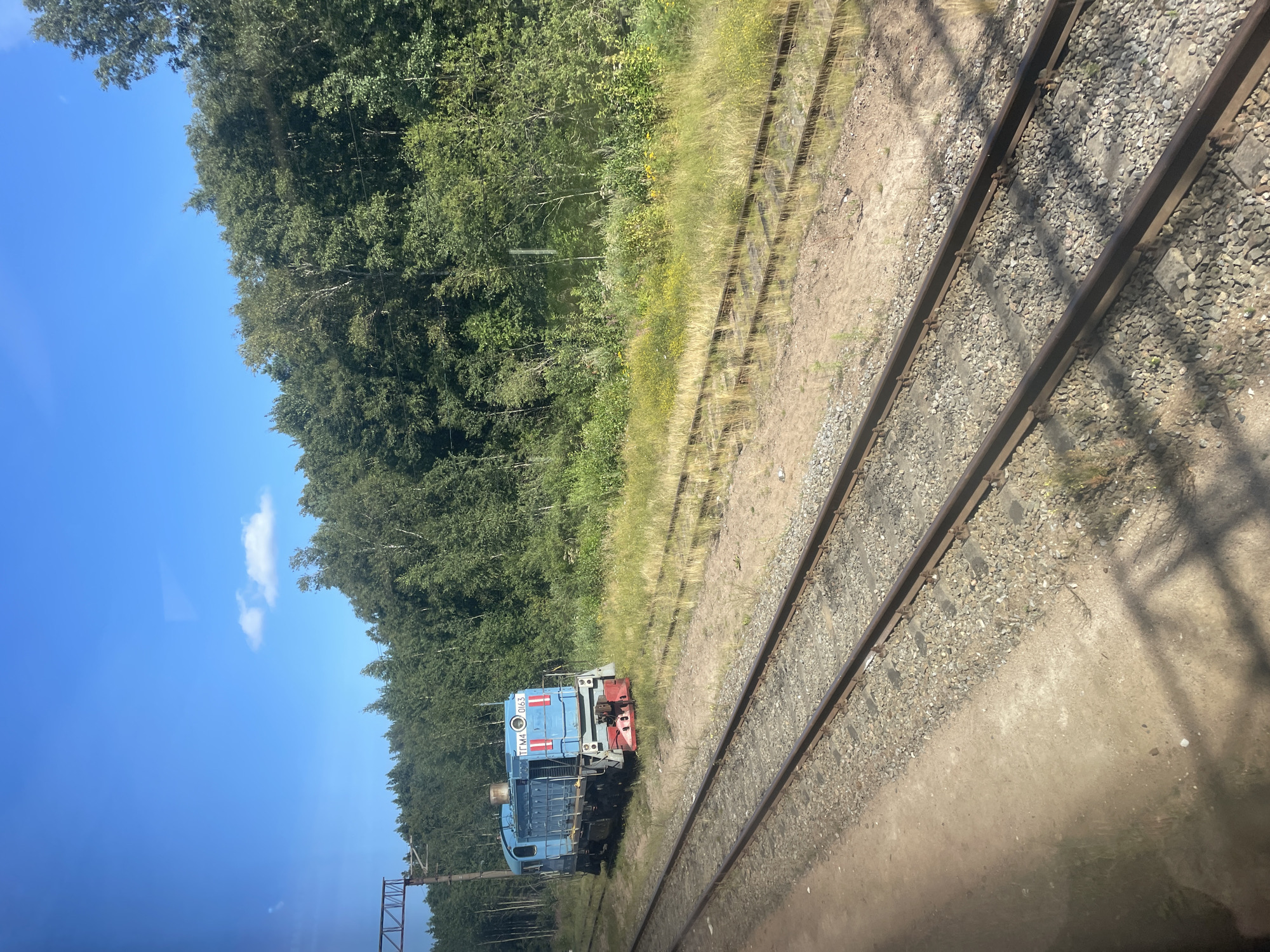 In Sosnoviy Bor, Russia, a blue diesel locomotive, identified by the marking "TEMA 0163" on its side, is parked on a railway track amidst a verdant, tree-lined landscape. The train is positioned on the left side of the frame, near a tall pole with electrical wires, suggesting it is on a functional railway line. The tracks are bordered by gravel and dirt, with an overgrown grassy area to the right, dotted with yellow wildflowers. Beyond the tracks, a dense forest of green trees stretches across the background, under a clear blue sky with a few wispy clouds. The overall scene depicts a serene, natural environment surrounding a functional industrial element.
