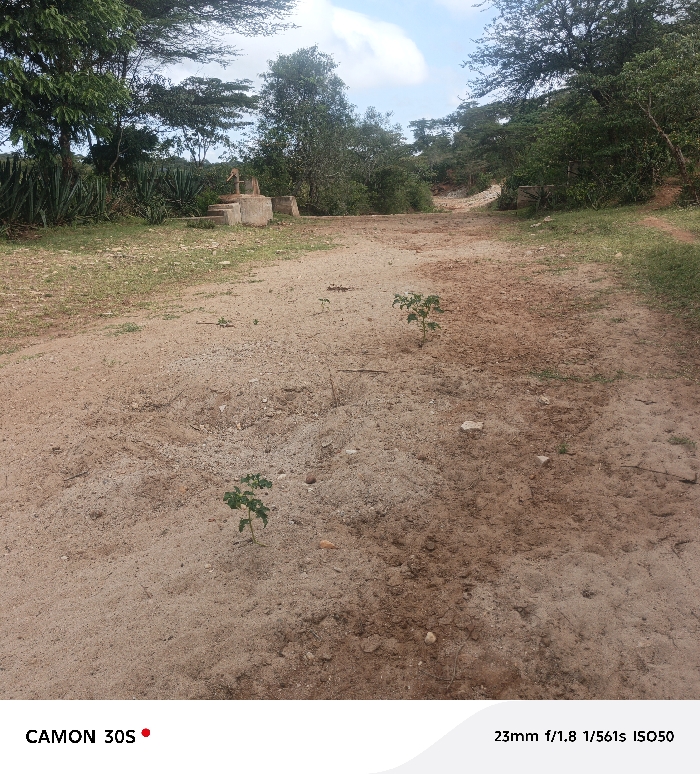 The image depicts an unpaved rural or semi-rural environment in Kasunguni, Kenya, under daylight conditions with a partly cloudy sky. The foreground and midground are dominated by a wide, reddish-brown dirt path, which appears dry and uneven, with scattered small stones. Several small, green, leafy plants are observed sprouting directly from the dirt path in the foreground and midground.
In the left-midground, a concrete wellhead structure is visible, featuring a manual water pump with a metallic lever arm. To the immediate right of this well structure, a smaller, lower concrete block is present. The path extends into the background, where it appears to curve slightly to the right.
The left and right sides of the background are characterized by dense, varied green vegetation, consisting of numerous trees and shrubs. Taller, spiky, succulent-like plants are visible along the left edge of the path behind the well structure. No people, animals, or vehicles are present in the scene.