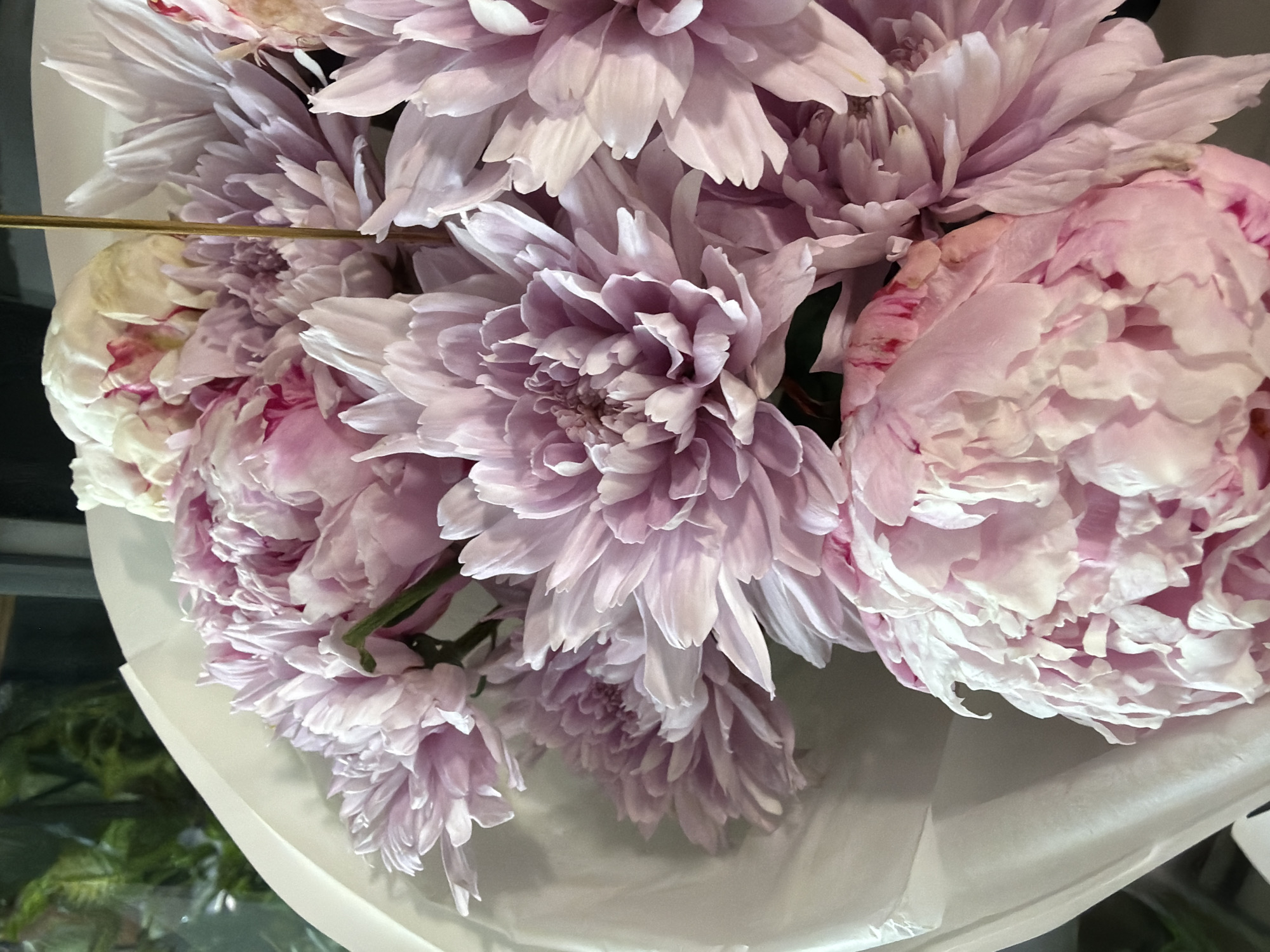 A close-up, vertical shot showcases a bouquet of light pink and white peonies. The flowers are tightly clustered and wrapped in white paper. Some petals exhibit a deeper pink hue and a slightly ruffled texture, while others are a pale pink and a more delicate, layered form. The background is blurred, with hints of green foliage and dark shapes, suggesting an indoor setting with natural light. The overall impression is one of soft textures and delicate beauty.