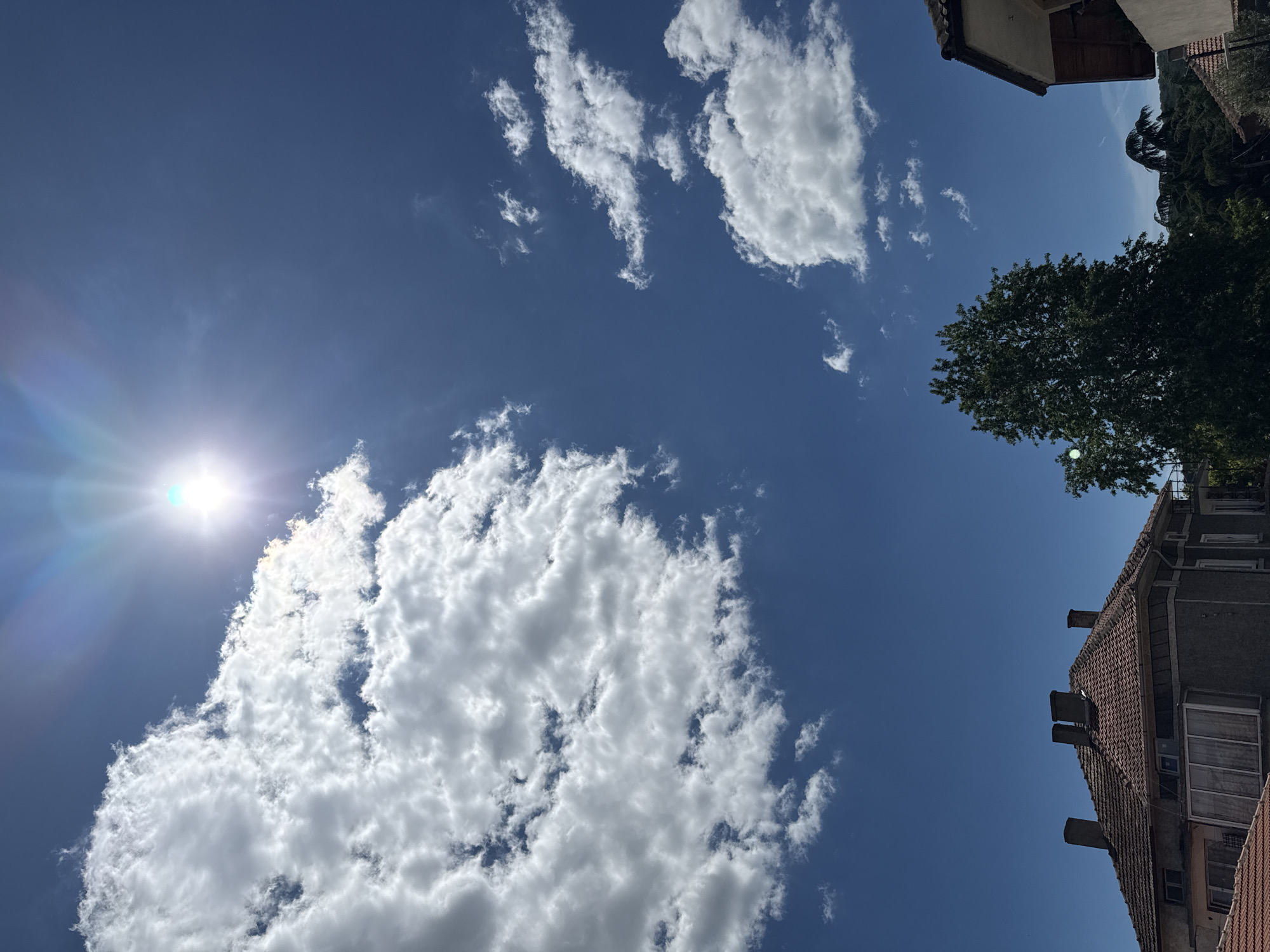 This is an eye-level, full outdoor shot of a clear blue sky with scattered white clouds. The sun is bright and high in the sky, causing lens flare. In the foreground, there are rooftops of buildings, a large green tree, and more clouds. The image appears to be taken in a residential area.