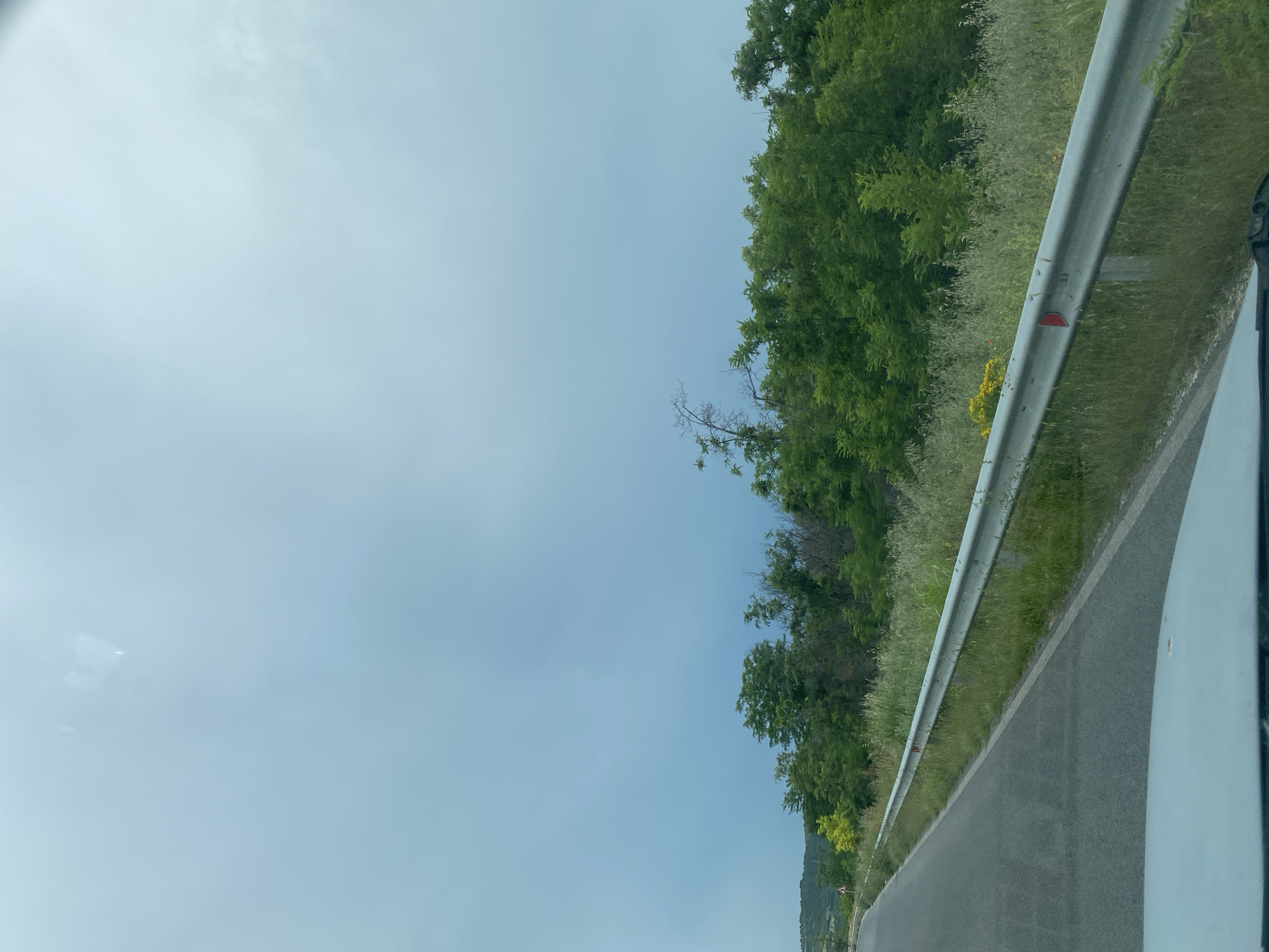 The image shows a roadside view of a rural area. A gray asphalt road curves to the left, bordered by a metal guardrail. Beyond the guardrail, tall green grass and wildflowers grow, interspersed with lush green trees and foliage. In the distance, a gentle hillside covered in trees is visible under a hazy, overcast sky. A portion of a white vehicle's hood is visible in the foreground. The scene appears to be located near Aleko Konstantinovo, Bulgaria.