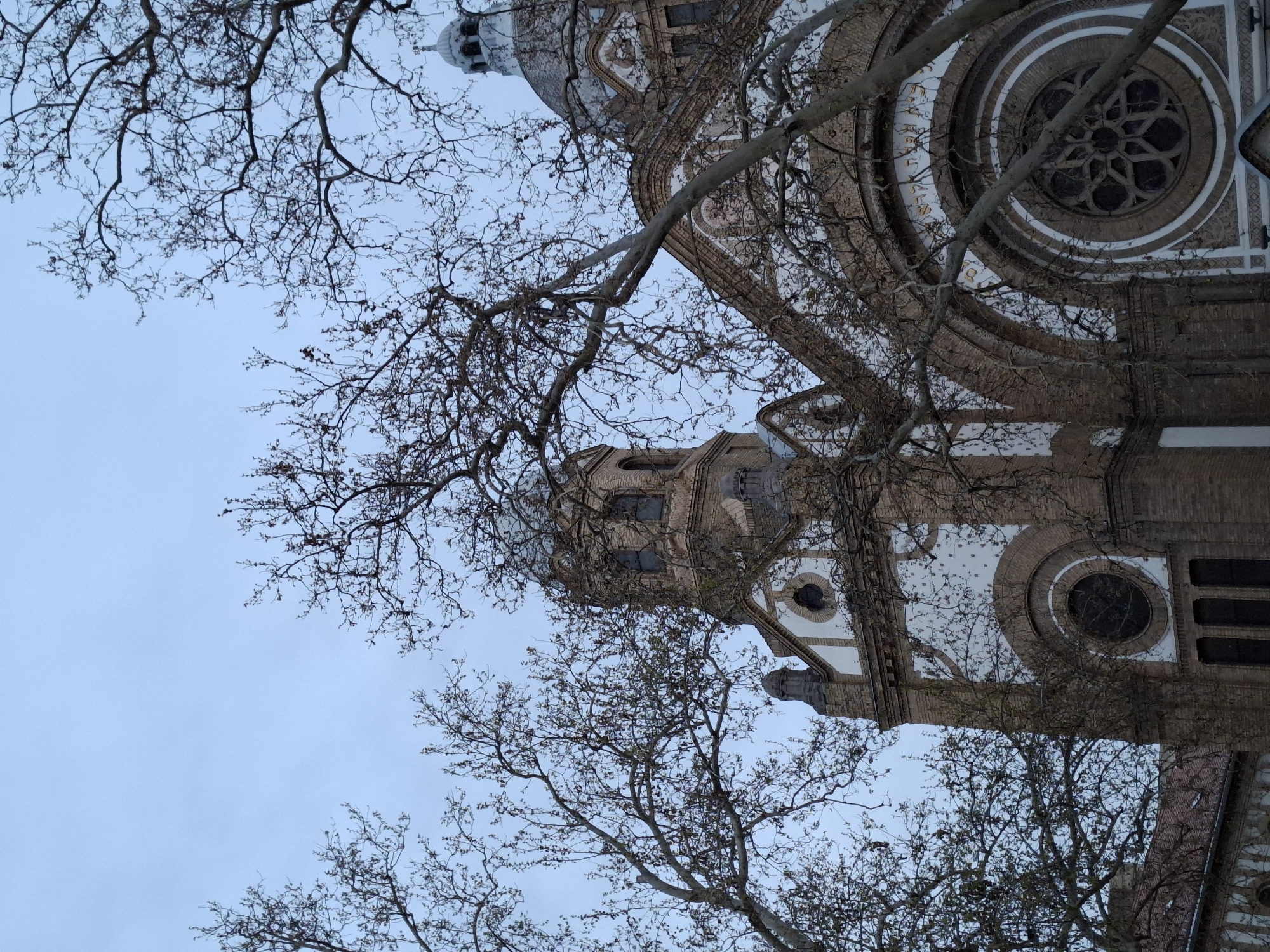 The image presents a low-angle view of the Novi Sad Synagogue, partially obscured by bare tree branches. The synagogue's facade, constructed of brick and white stone, is visible. The dome of the synagogue and its distinctive architectural details, including arched windows and decorative moldings, are apparent. The sky is a uniform pale blue. The branches obscure a large portion of the building.
