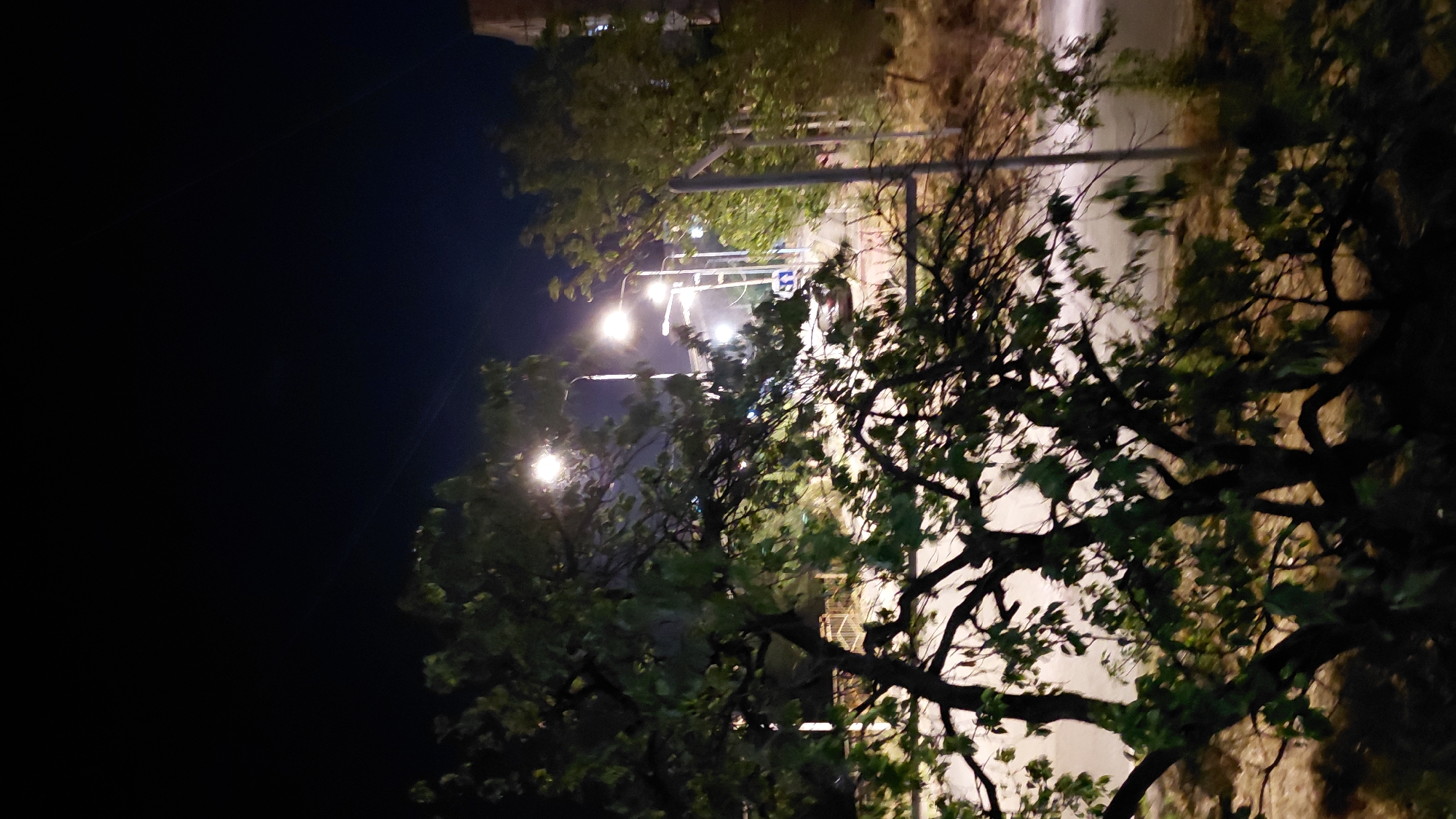 A night-time outdoor shot taken from a window view. The foreground is dominated by a large tree with dark branches and green leaves, obscuring much of the background. In the mid-ground, a street is visible with several streetlights illuminating the scene. A few cars are present on the street, and there are traffic signs. A building is partially visible on the right side of the frame. The sky is dark, indicating it is nighttime. The overall impression is an urban residential area at night. The image is assumed to be taken in Abovyan, Armenia.