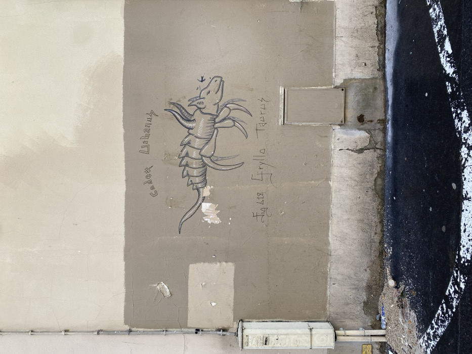 The scene displays an exterior building wall in the city of Unknown, Unknown. The wall exhibits a two-tone paint scheme: a light beige upper section over a medium taupe lower section, which shows signs of weathering and peeling paint. Below this, a concrete foundation extends to the ground, marked by cracks and discoloration. A grey conduit pipe runs vertically down the left, secured by clips. A white utility box is affixed to the lower left wall, with a smaller, rectangular, taupe-colored utility panel on the lower right. Centered on the taupe wall is black outline graffiti depicting an armored, multi-legged creature with horns. Above the creature, text reads "Cadet Llabanús," and below it, "Fig 418: Grylla Taurus." The foreground consists of black asphalt, partially marked with a curved white line. Accumulated gravel, dirt, and debris, including plastic items and cigarette butts, are visible at the base of the wall on the left. No individuals are present.