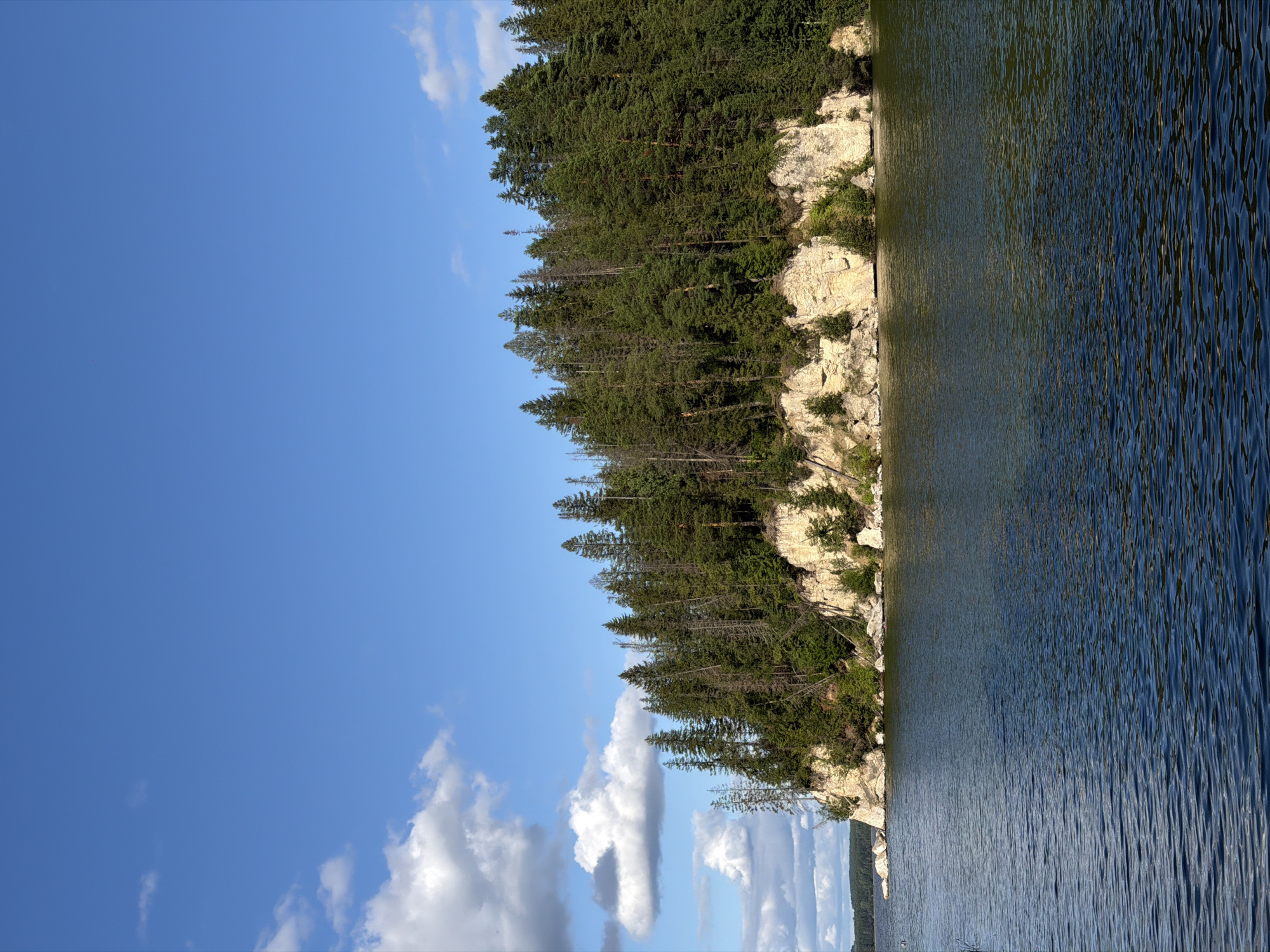 The image depicts a serene natural landscape with a body of water in the foreground and a forested cliffside in the background. The sky is a clear blue with scattered white clouds. The water has a rippled surface, reflecting the blue of the sky and the green of the trees. The cliffside is characterized by exposed rock faces interspersed with dense green coniferous trees. The rock formations appear to be sedimentary, with layers visible. The overall impression is one of a remote and undeveloped natural area. The location is specified as Gora (Khokhlovskoe S/P), Russia. There are no people or animals visible in the scene.