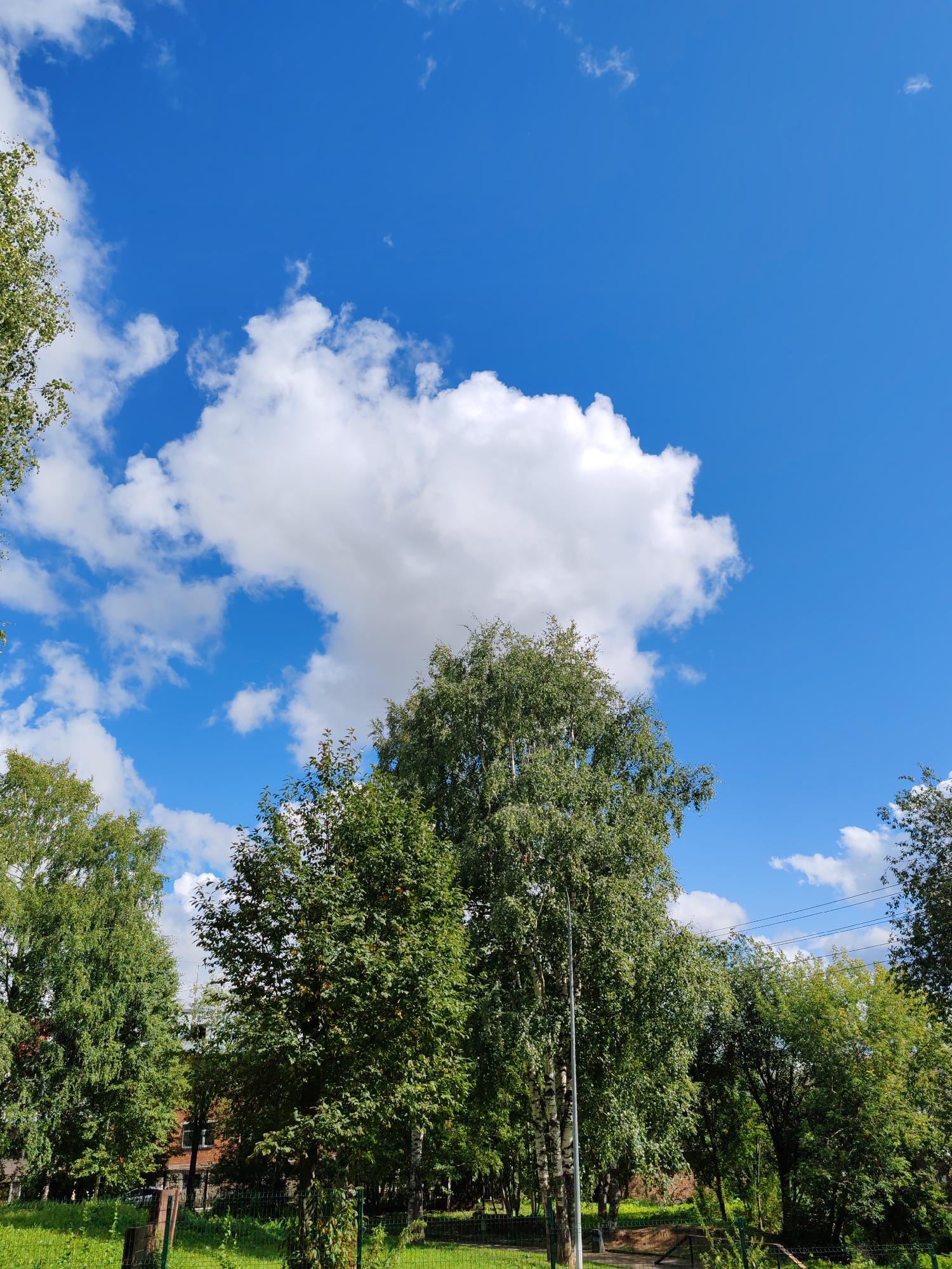 The image shows a bright, sunny day with a vivid blue sky dotted with fluffy white clouds. Lush green trees with dense foliage dominate the lower half of the frame, their leaves catching the sunlight. In the foreground, a green mesh fence runs horizontally, with glimpses of grass and some sparse vegetation. Behind the trees, hints of buildings with red brick facades are visible, suggesting an urban or suburban setting. Power lines can be seen strung between poles against the sky in the upper right portion of the image. The overall impression is one of a pleasant, late summer or early autumn day. Based on the provided location, this scene is likely in the city of Syktyvkar, Russia.