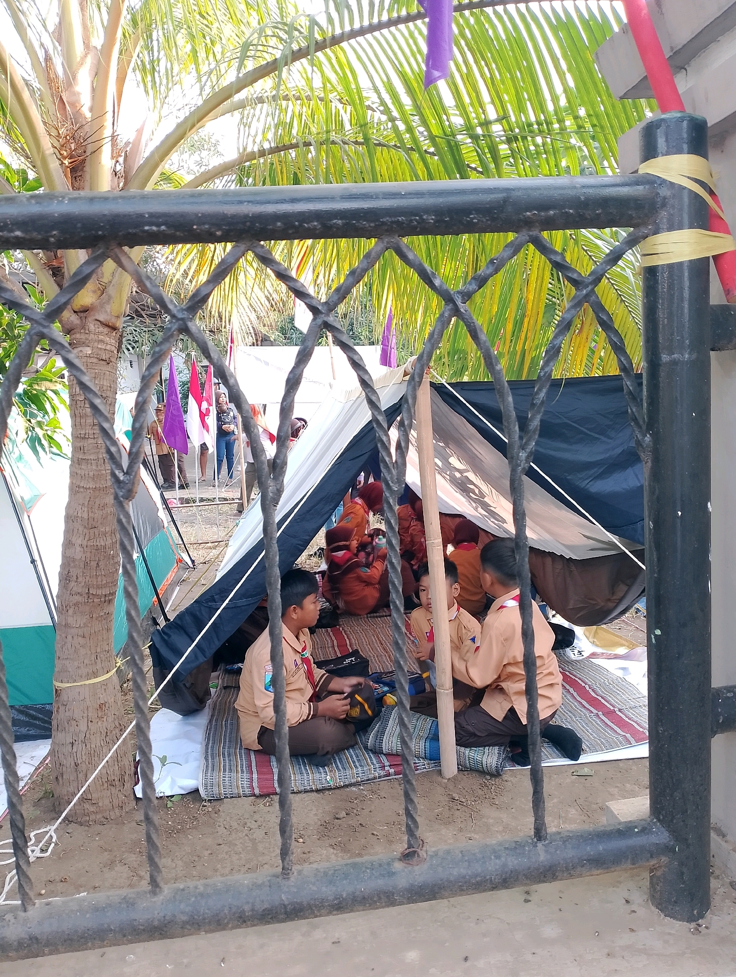 This is a medium shot photograph taken outdoors, likely in a schoolyard or a designated camping area in Probolinggo, Indonesia, as indicated by the presence of Indonesian flags and children in scouting uniforms. The foreground features a dark, metal fence with a diamond pattern, partially obscuring the scene behind it.
The main subject of the image is a group of children, appearing to be in their early to mid-teens, dressed in brown and tan scout uniforms. They are gathered inside and around a makeshift tent or shelter constructed from tarps. The tent has a dark blue and white fabric roof, supported by wooden poles. Several children are seated on mats laid on the ground, some engaged in conversation and others appearing to be organizing or preparing something. One child in the foreground, facing to the right, is looking down at an object in his lap, possibly a bag or a book. Another child, also in the foreground and facing left, is looking towards the right of the frame.
In the background, several flags are visible, including a purple flag, a red and white Indonesian flag, and another red flag. There are also other tents visible, and palm trees with large fronds are prominent in the upper portion of the image, suggesting a tropical or subtropical environment. The ground appears to be dirt and sand. The lighting indicates it is daytime, with bright sunlight filtering through the palm leaves. The overall atmosphere suggests an outdoor scouting activity or camp.