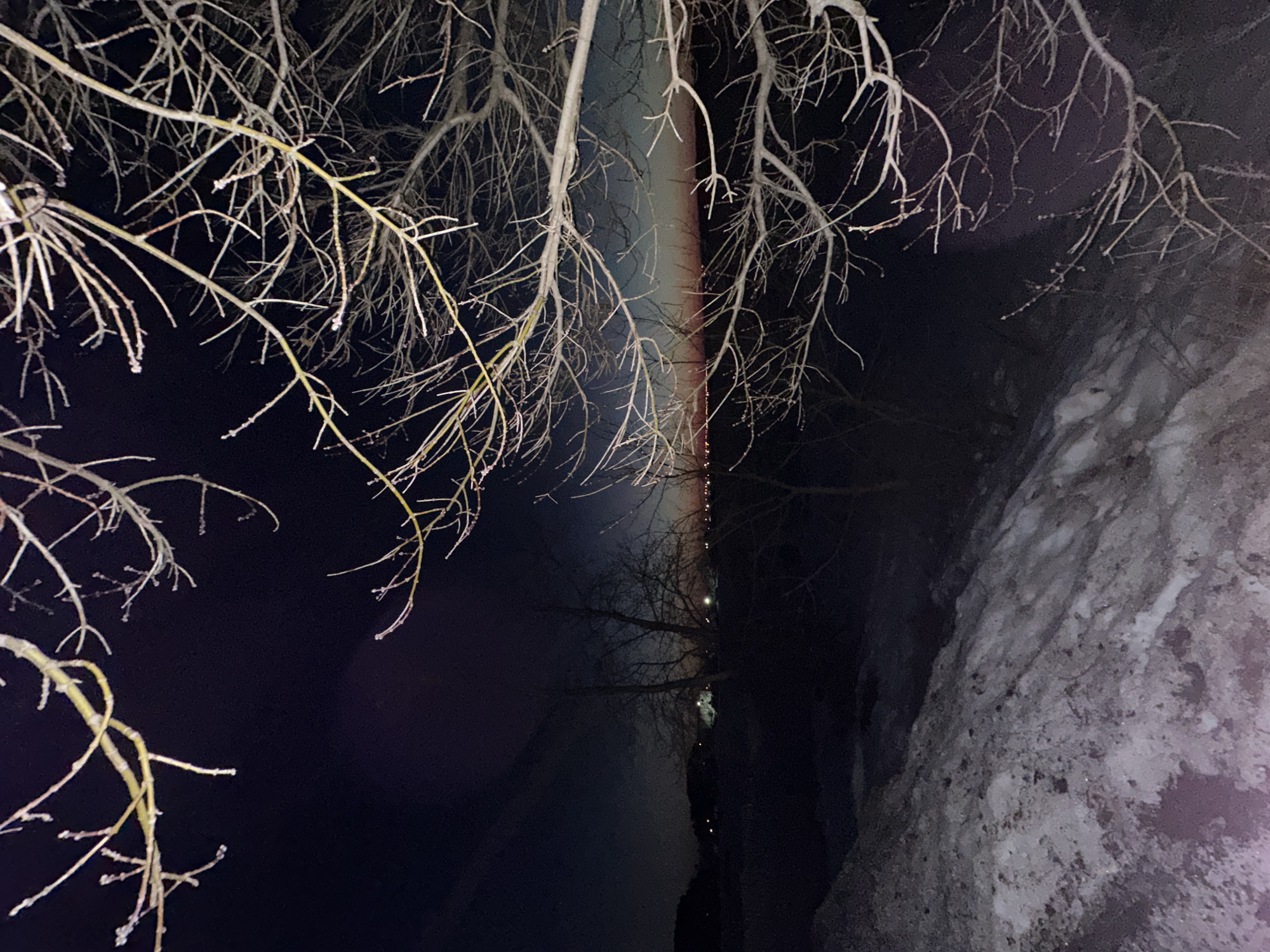The image, taken at night, appears to be in or near Chaikovsky, Russia, based on the landscape and potential weather conditions. The foreground features bare tree branches, some with possible frost or ice accumulation. To the right, there is a snow-covered embankment or hillside. In the background, a vertical band of light resembling a rainbow cuts through the darkness. The light source is not immediately identifiable. The general environment suggests a cold, possibly wintery, setting.