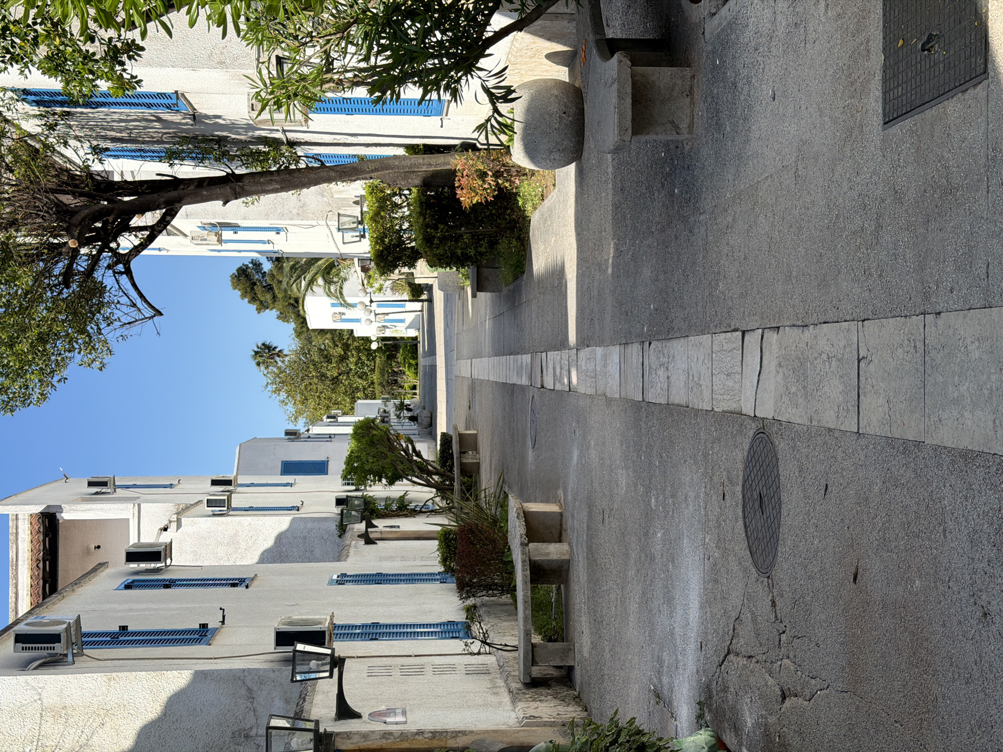The image depicts a narrow street in Budva, Montenegro, characterized by whitewashed buildings with blue window shutters. The street is paved with grey stone, featuring a central strip of lighter, rectangular stones. Along the street's edge are concrete benches and planters with greenery. The sky is clear blue, and trees provide partial shade. Air conditioning units are visible on the building walls. The buildings are of varying heights, and the street appears to slope gently upward into the distance.