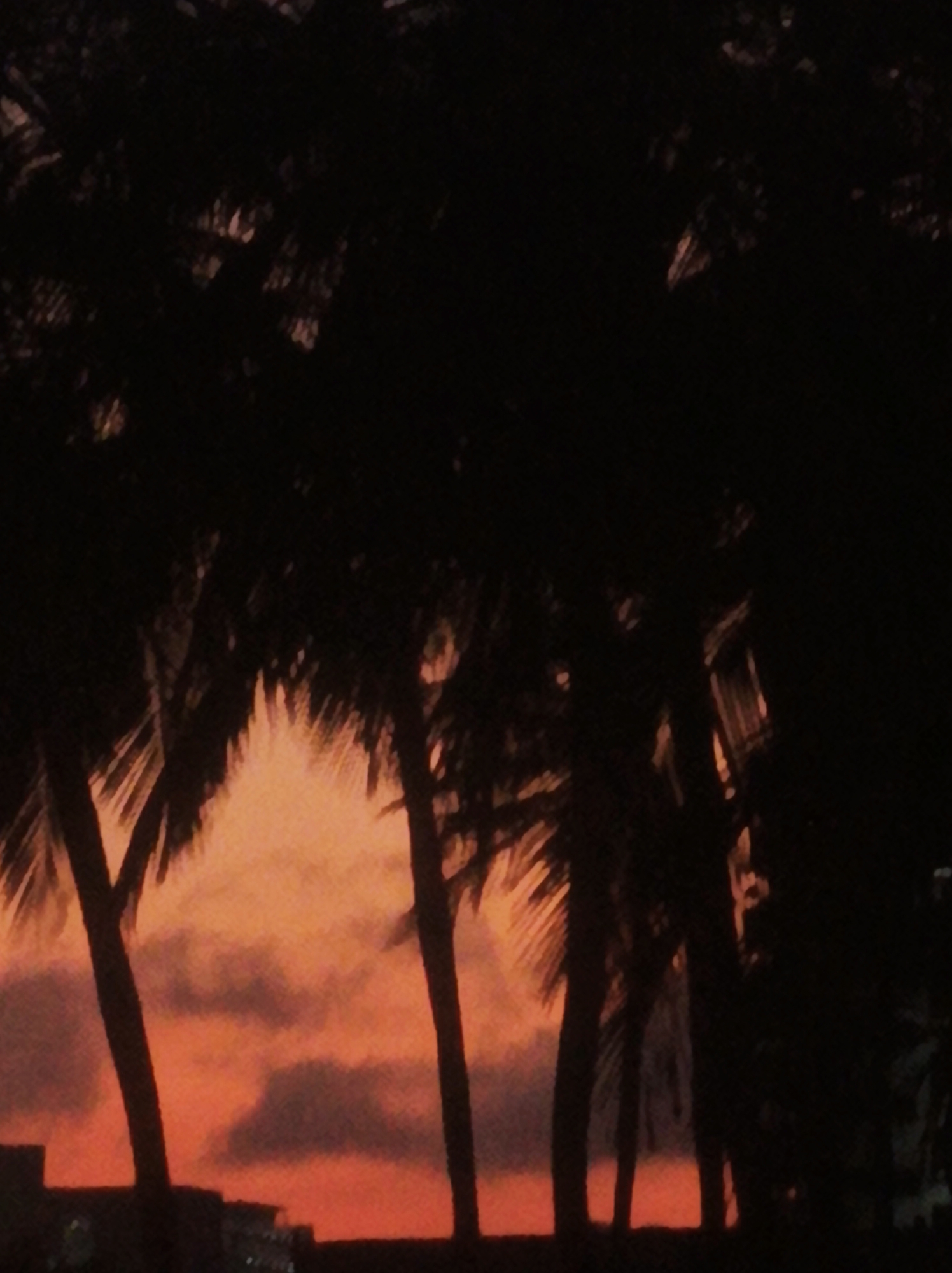 The image shows a silhouetted view of palm trees against a sunset in Porlamar, Venezuela. The sky displays a mix of orange and red hues with visible clouds. The palm trees are dark and appear to be in the foreground, with structures at the bottom of the frame.