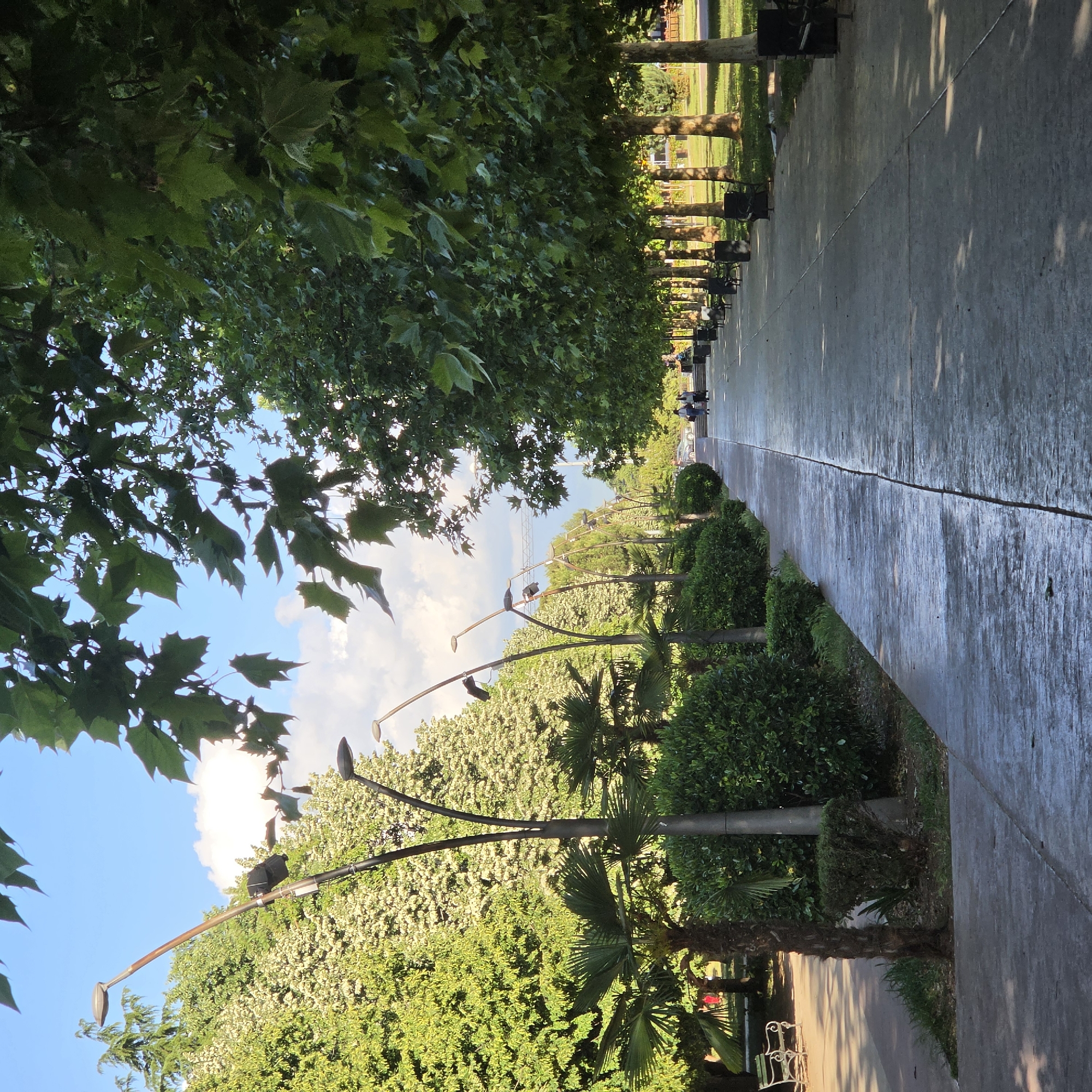 The image depicts a tree-lined walkway in Podgorica, Montenegro. A concrete path extends into the distance, flanked by rows of trees, bushes, and benches. The sky is visible through the canopy of leaves above. Lampposts line the walkway. There is some evidence of foot traffic on the path.