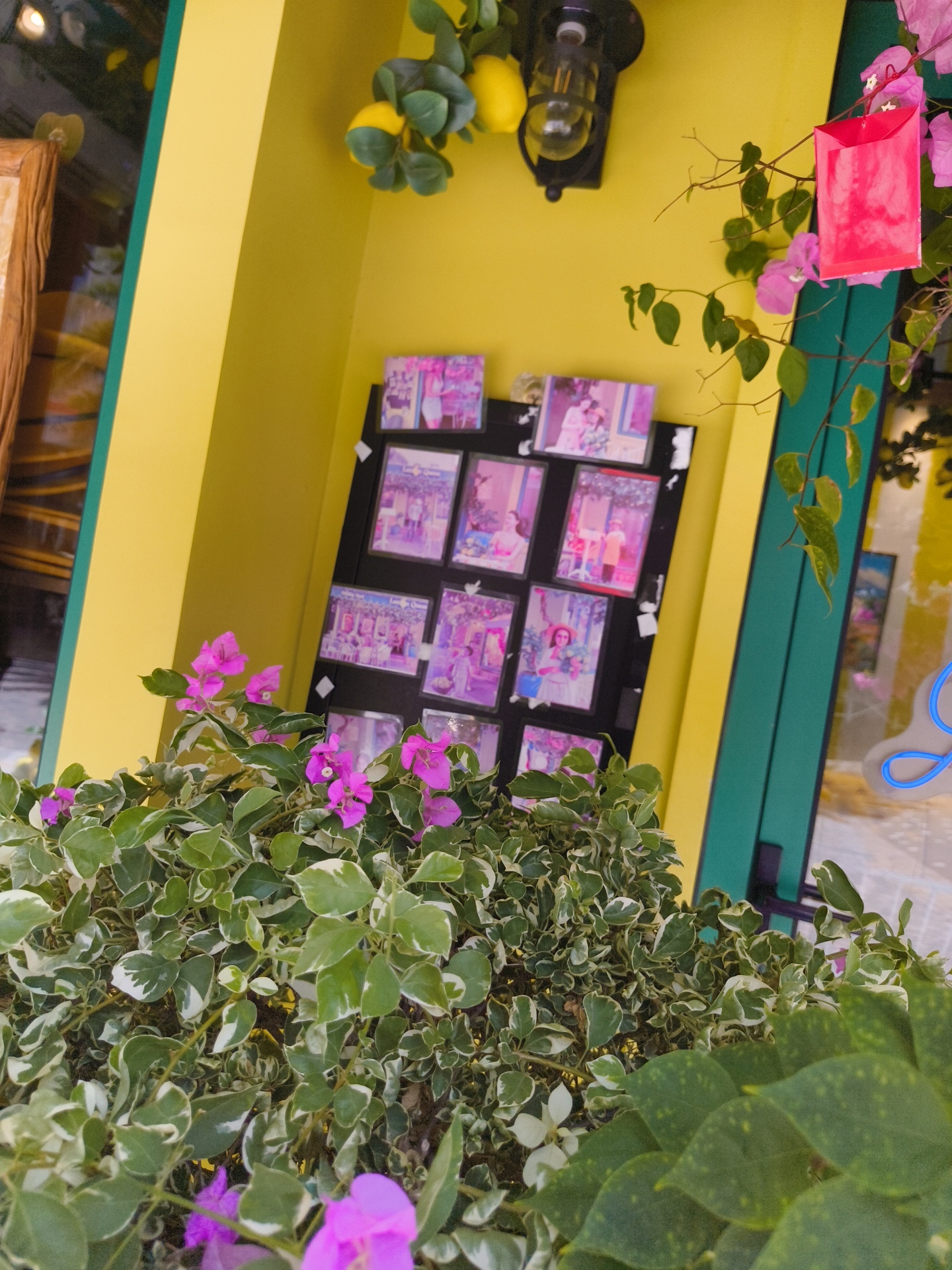 The image shows a vibrant scene with a yellow wall, a green doorway, and a display of framed photographs. In the foreground, a lush plant with green and white variegated leaves and pink bougainvillea flowers is visible. A string of decorative lemons hangs from the upper right of the image, next to a bright pink paper packet. A framed display board holds several small photographs, mostly depicting people in what appear to be outdoor or festive settings. The overall impression is one of a cheerful and decorative outdoor space, possibly a shop or cafe entrance. The location is identified as Phu Quoc, Vietnam.