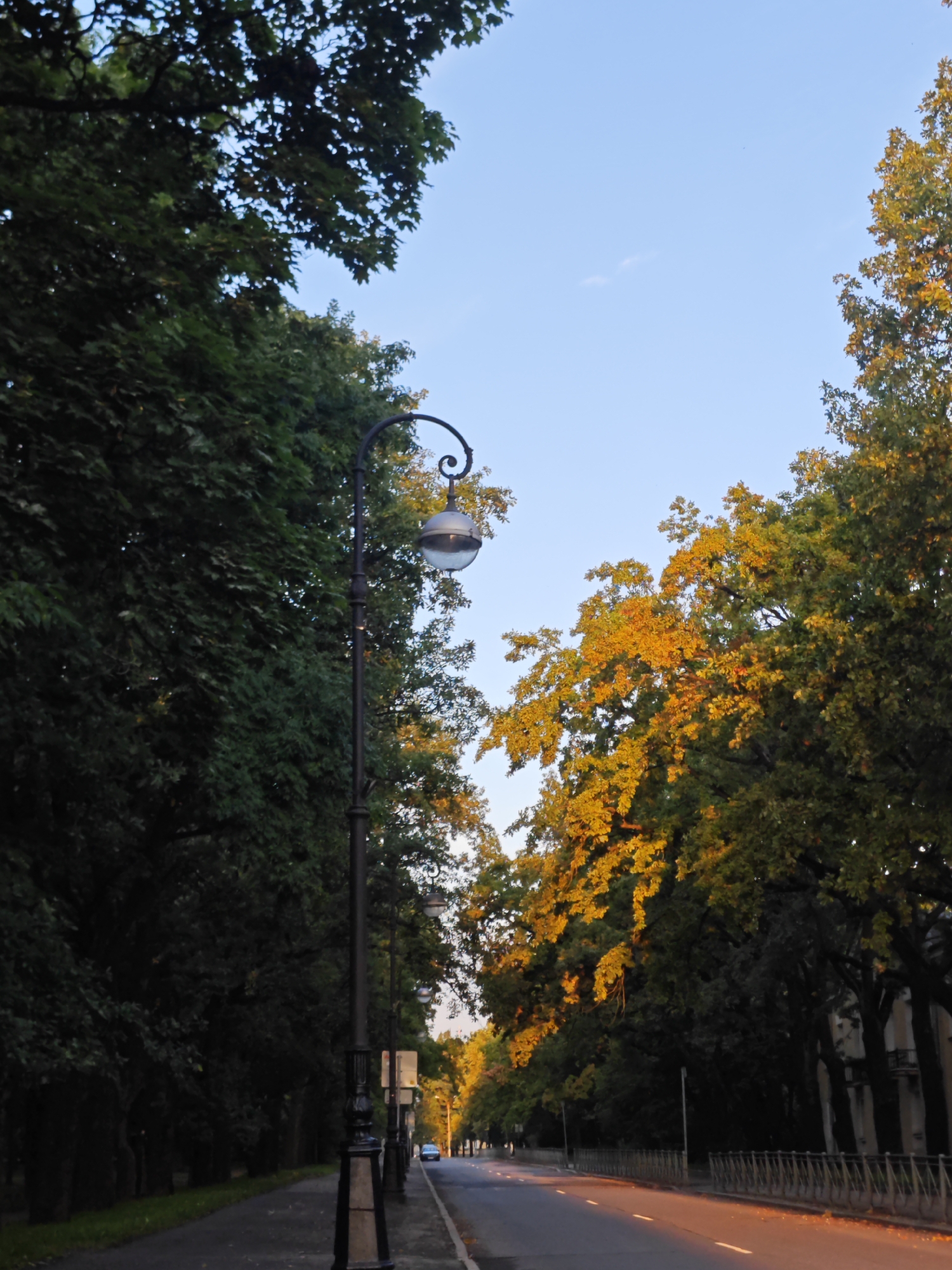 This is a vertical, eye-level, medium shot of a tree-lined avenue in Pushkin, Russia, during the golden hour. On the left, a path is bordered by a dense row of dark green trees. On the right, a paved road with white dashed lines runs into the distance, flanked by trees displaying autumnal foliage in shades of green and yellow, illuminated by the setting sun. A black lamppost with an ornate curved arm and a spherical glass lamp stands prominently in the foreground on the left side of the road. Further down the road, more lampposts are visible, along with a low metal fence and buildings. A single blue car is seen driving away from the camera in the distance on the right side of the road. The sky above is a clear, light blue with a few wispy clouds.